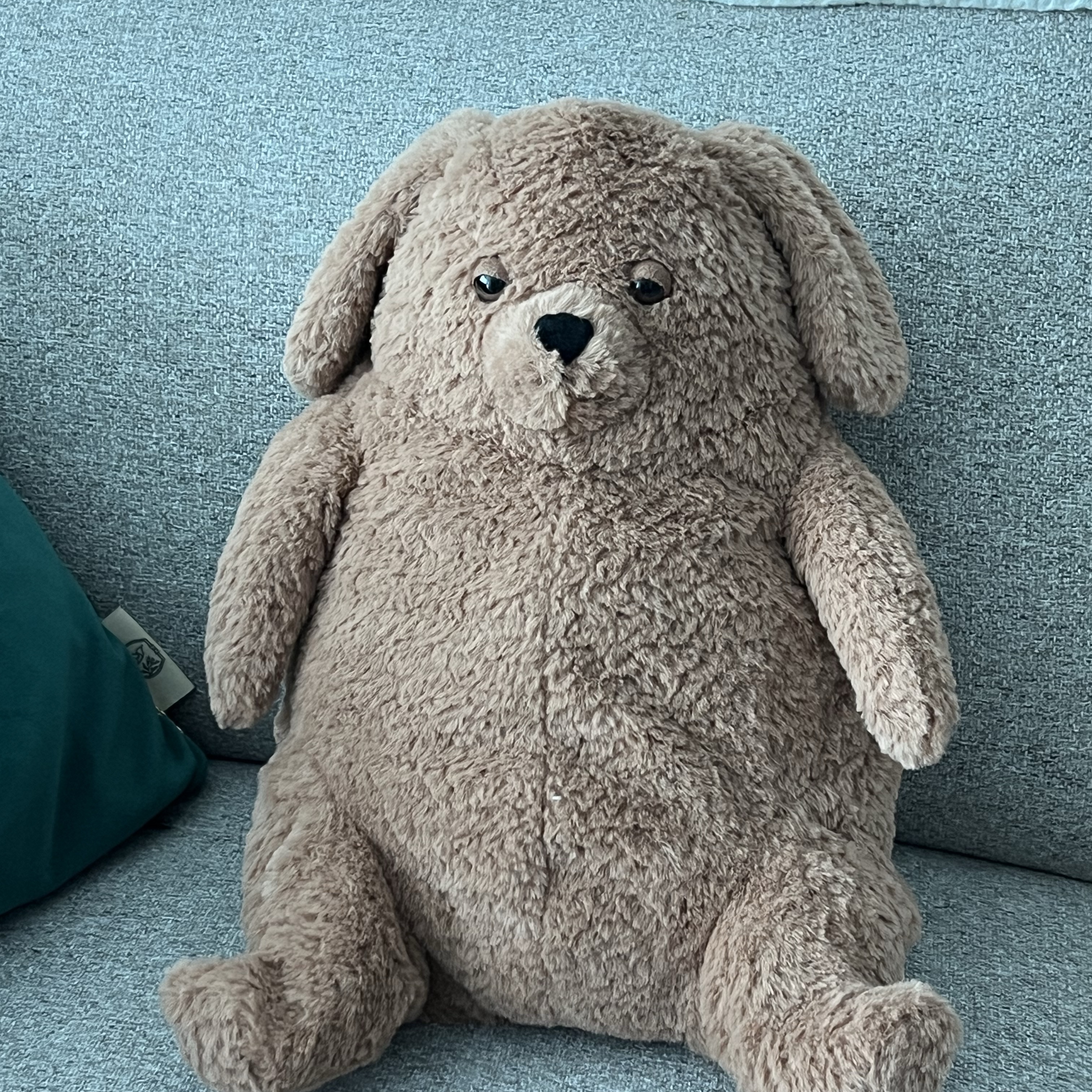 Jellycat Amore Dog Brown 착용 스타일
