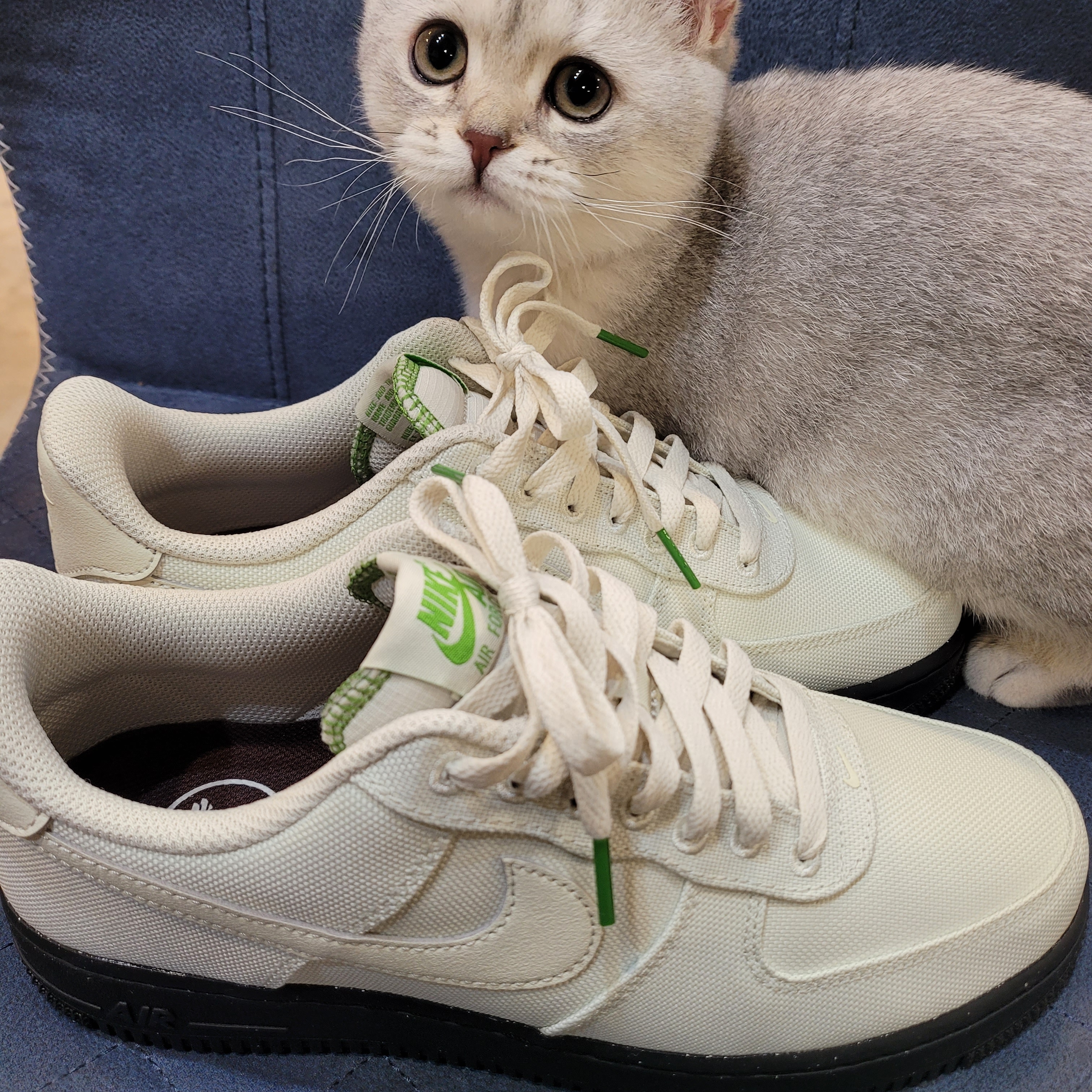 Nike Air Force 1 '07 LV8 Sea Glass Chlorophyll 착용 스타일