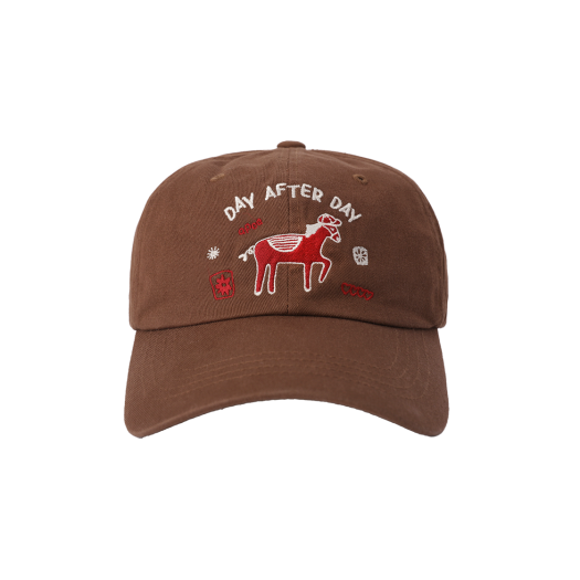 324538 APOA Day After Day Ball Cap Brown