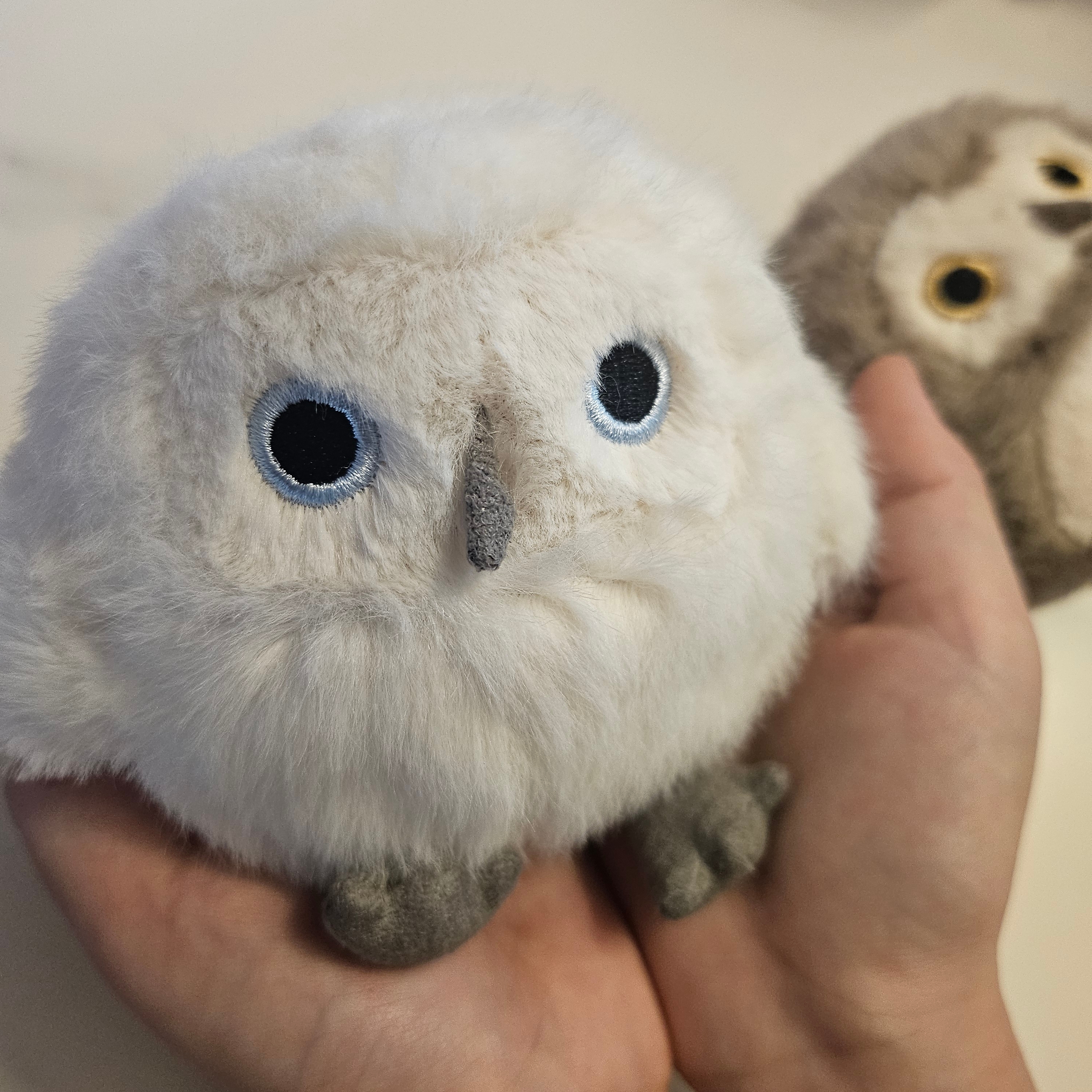 Jellycat Snowy Owling Cream 착용 스타일