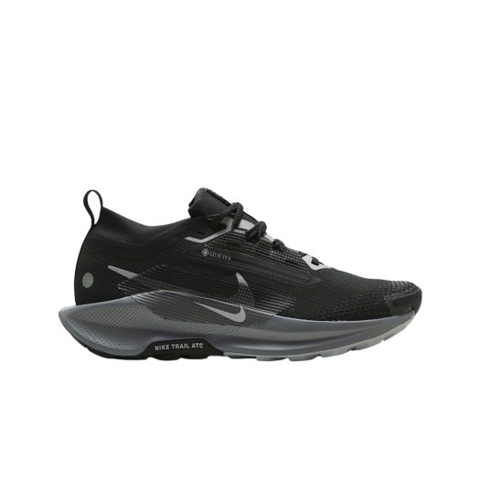 (W) Nike Pegasus Trail 5 Gore-Tex Black Cool Grey