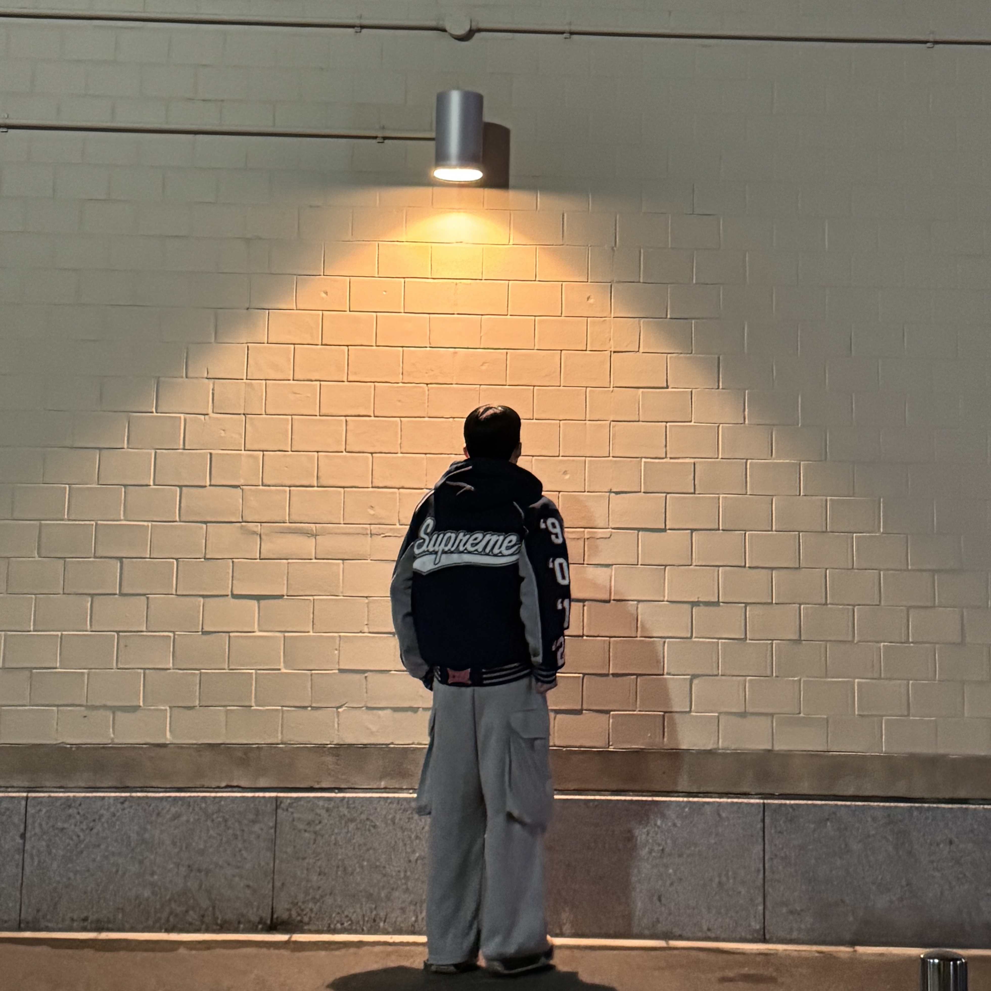 Supreme Playoffs Zip Up Hooded Sweatshirt Navy - 25SS, Nike ACG Rufus Limestone and Black 착용 스타일