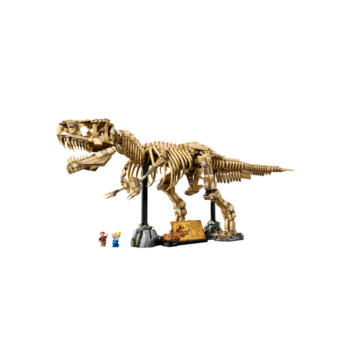 레고 쥬라기 월드 공룡 화석: T-렉스(Lego Jurrasic World Dinosaur Fossils: Tyrannosaurus rex)