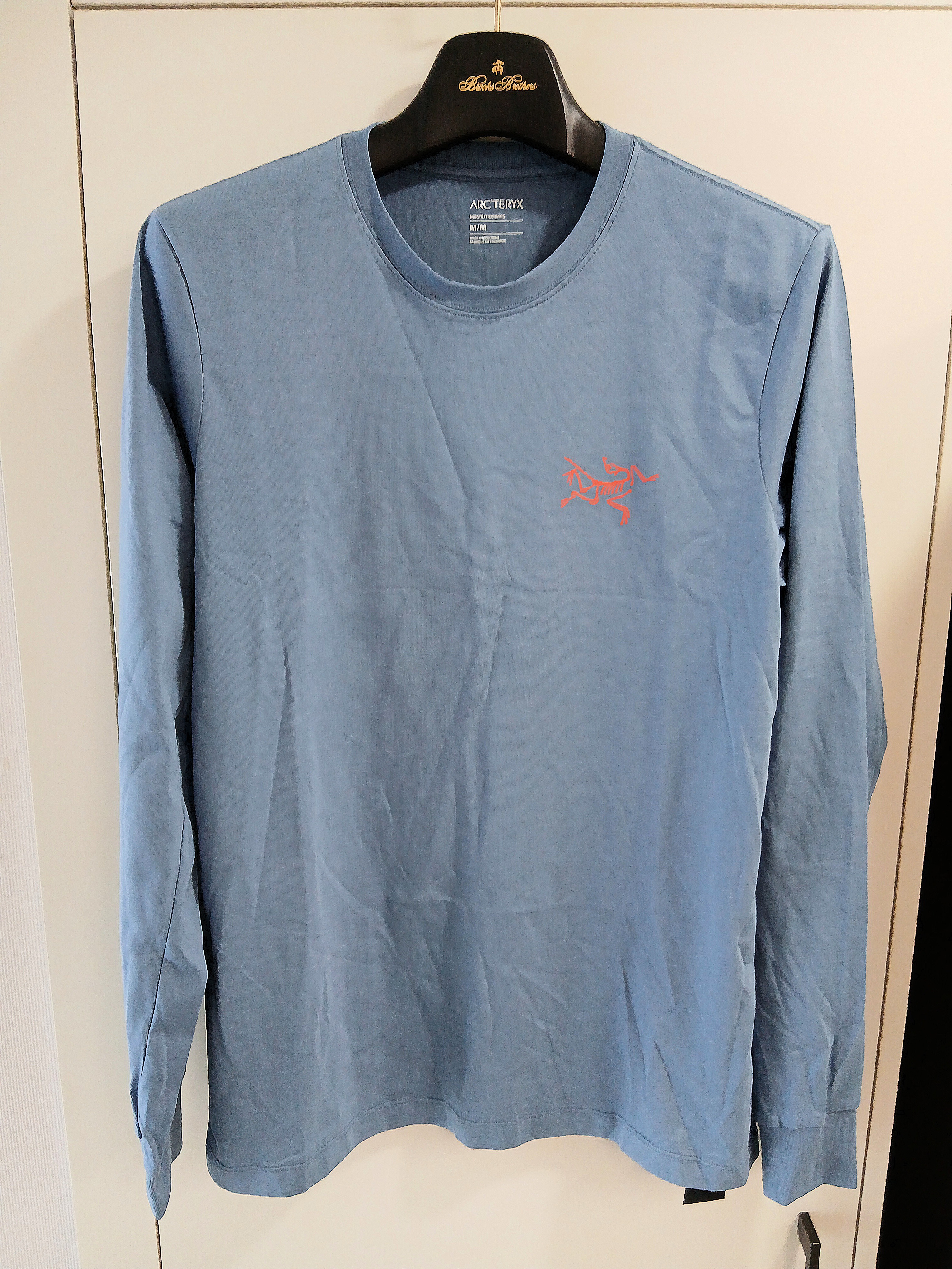 Arc'teryx Arc'Multi Bird Logo LS T-Shirt Stone Wash 착용 스타일 - 2