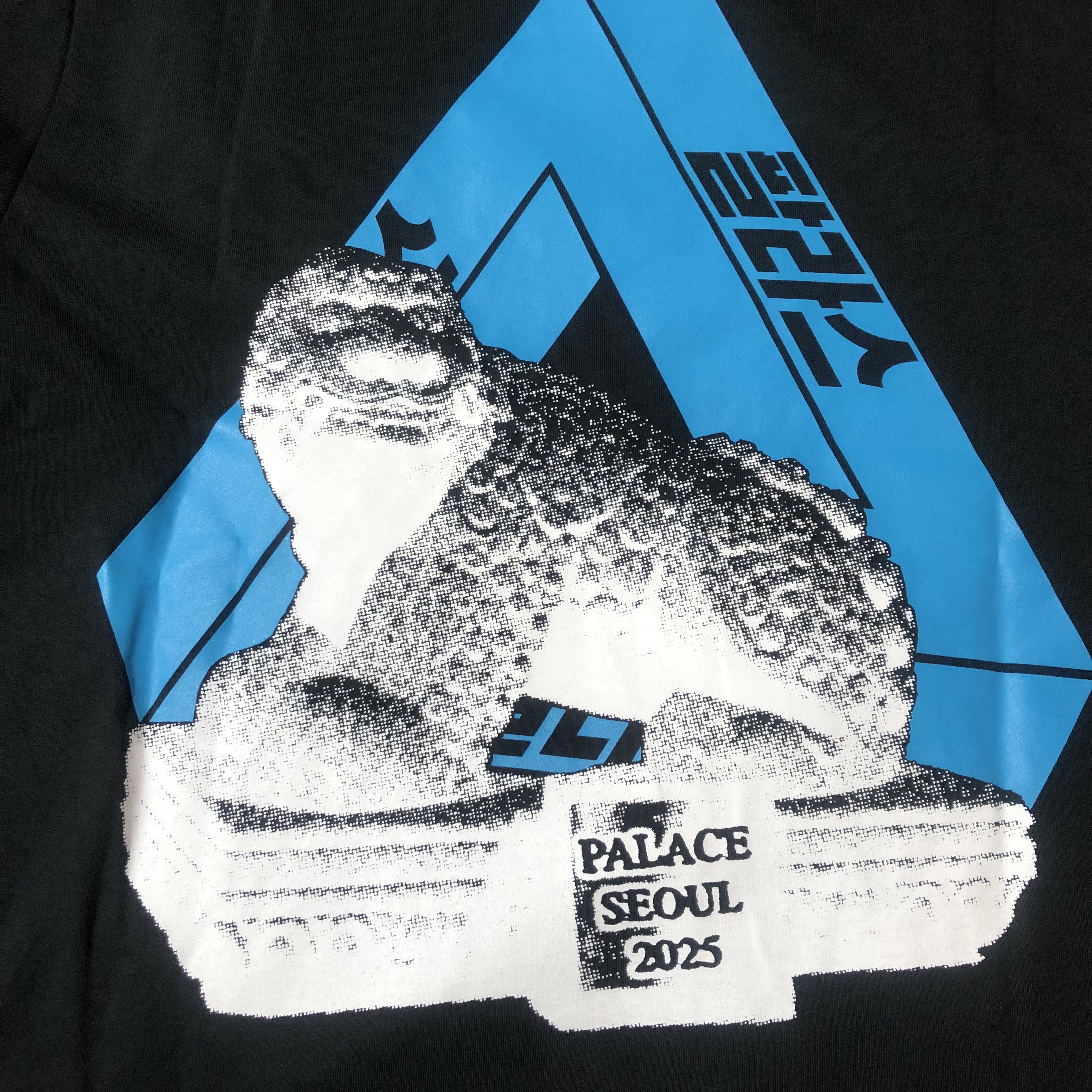 Palace Seoul 2 Seoul Tri-Ferg T-Shirt Black - 25SS 착용 스타일
