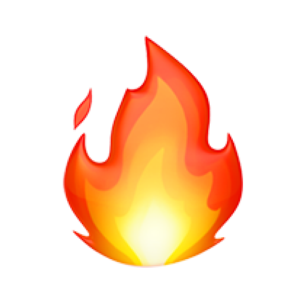 투표 선택 이미지