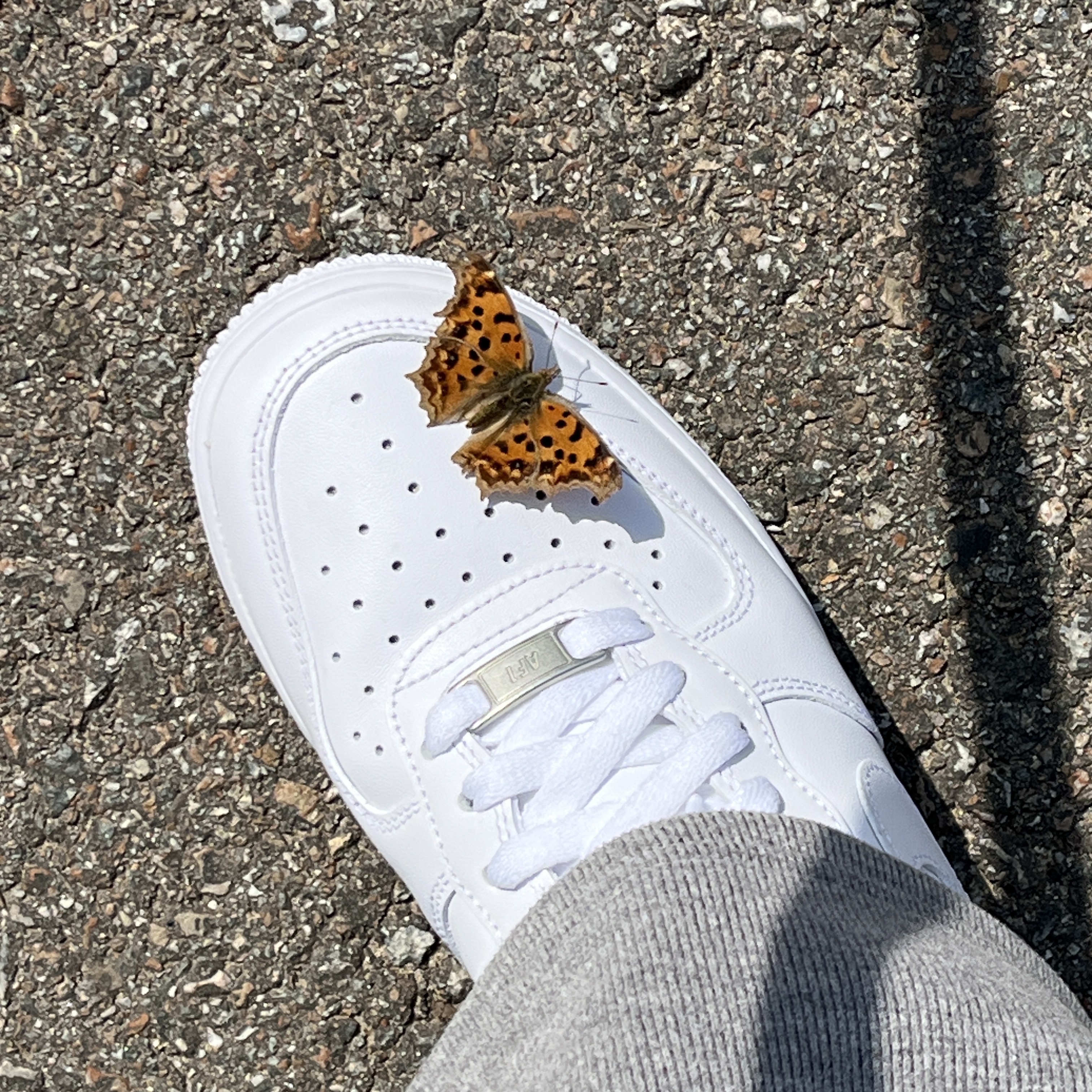(W) Nike Air Force 1 '07 Low White 착용 스타일 - 3