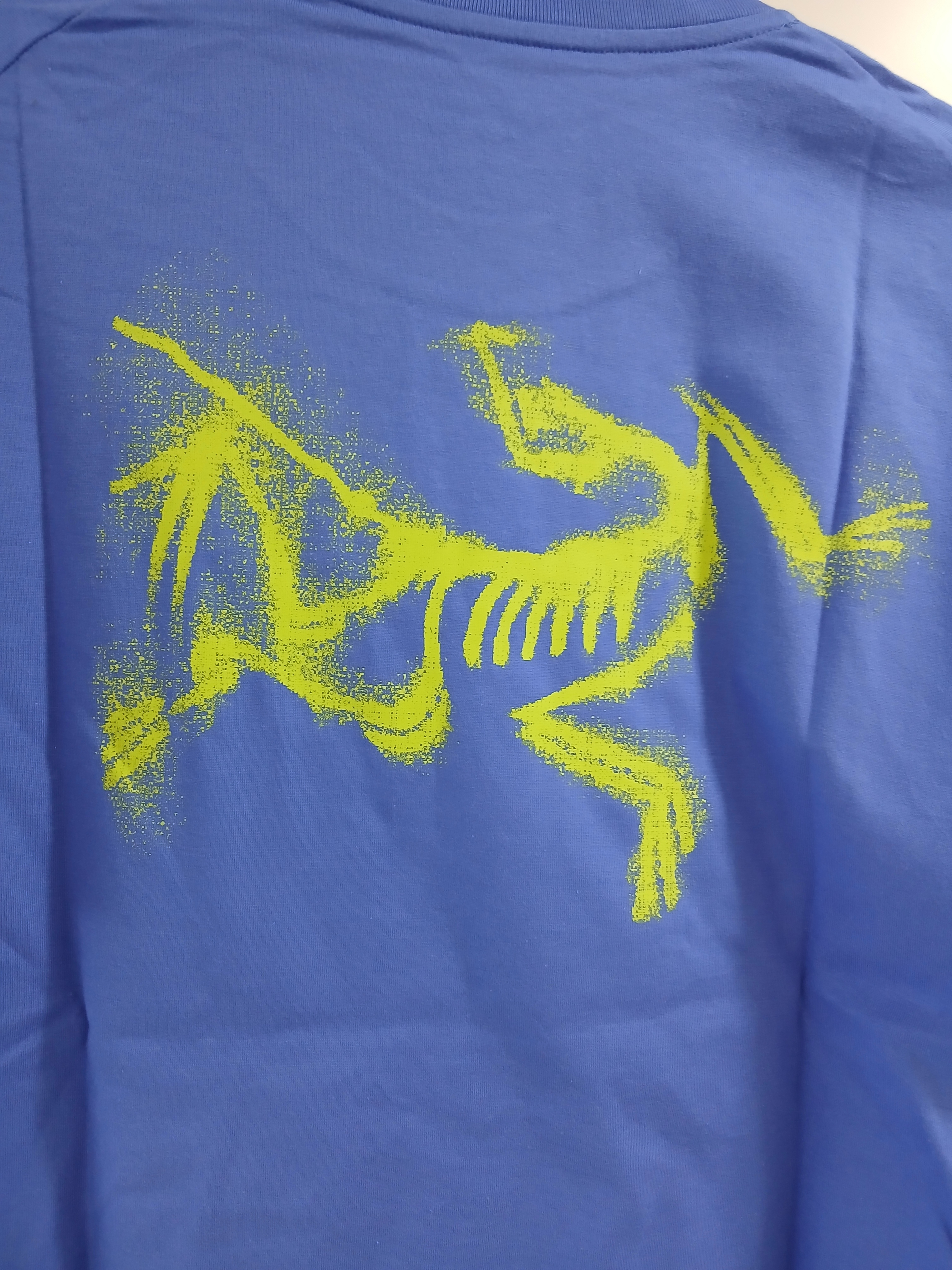 Arc'teryx Kragg SL Cotton Blurred Bird SS T-Shirt Electra Euphoria 착용 스타일 - 4