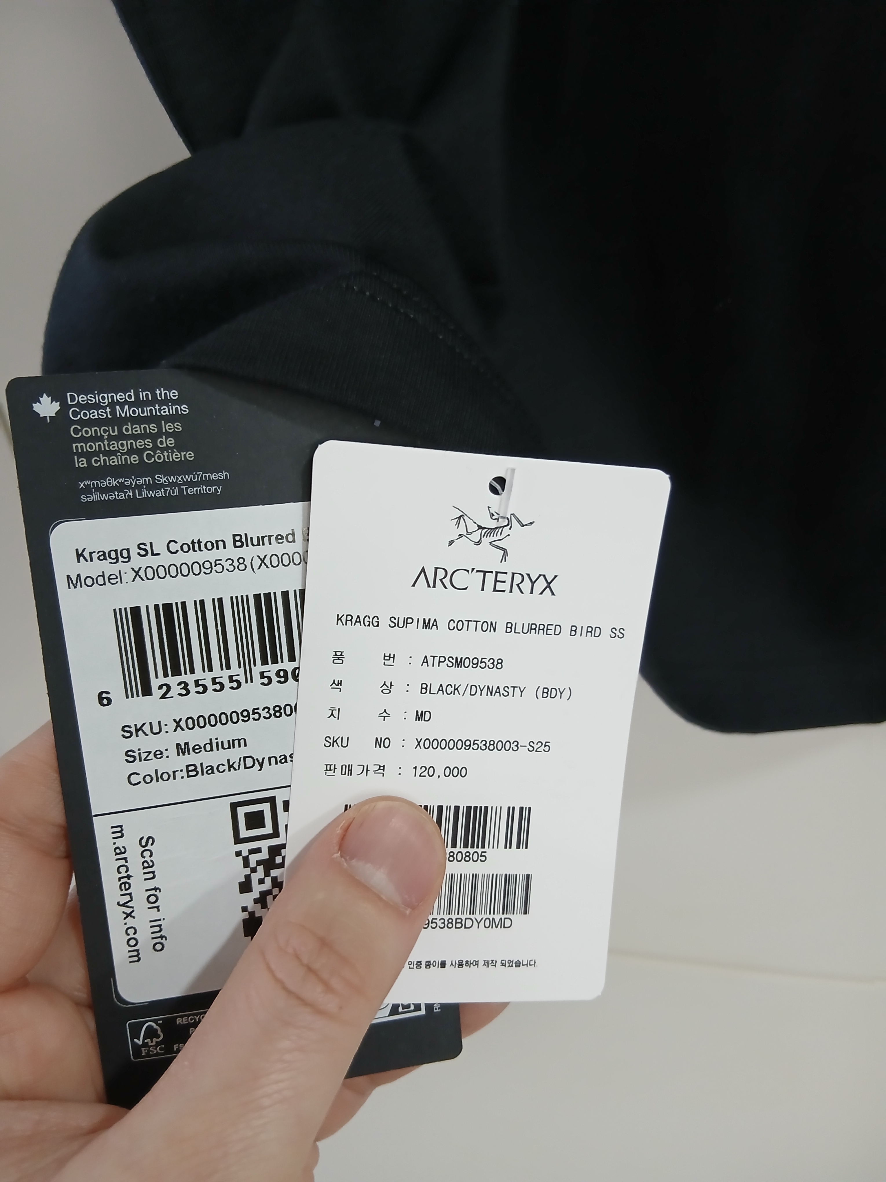 Arc'teryx Kragg SL Cotton Blurred Bird SS T-Shirt Black Dynasty 착용 스타일 - 3