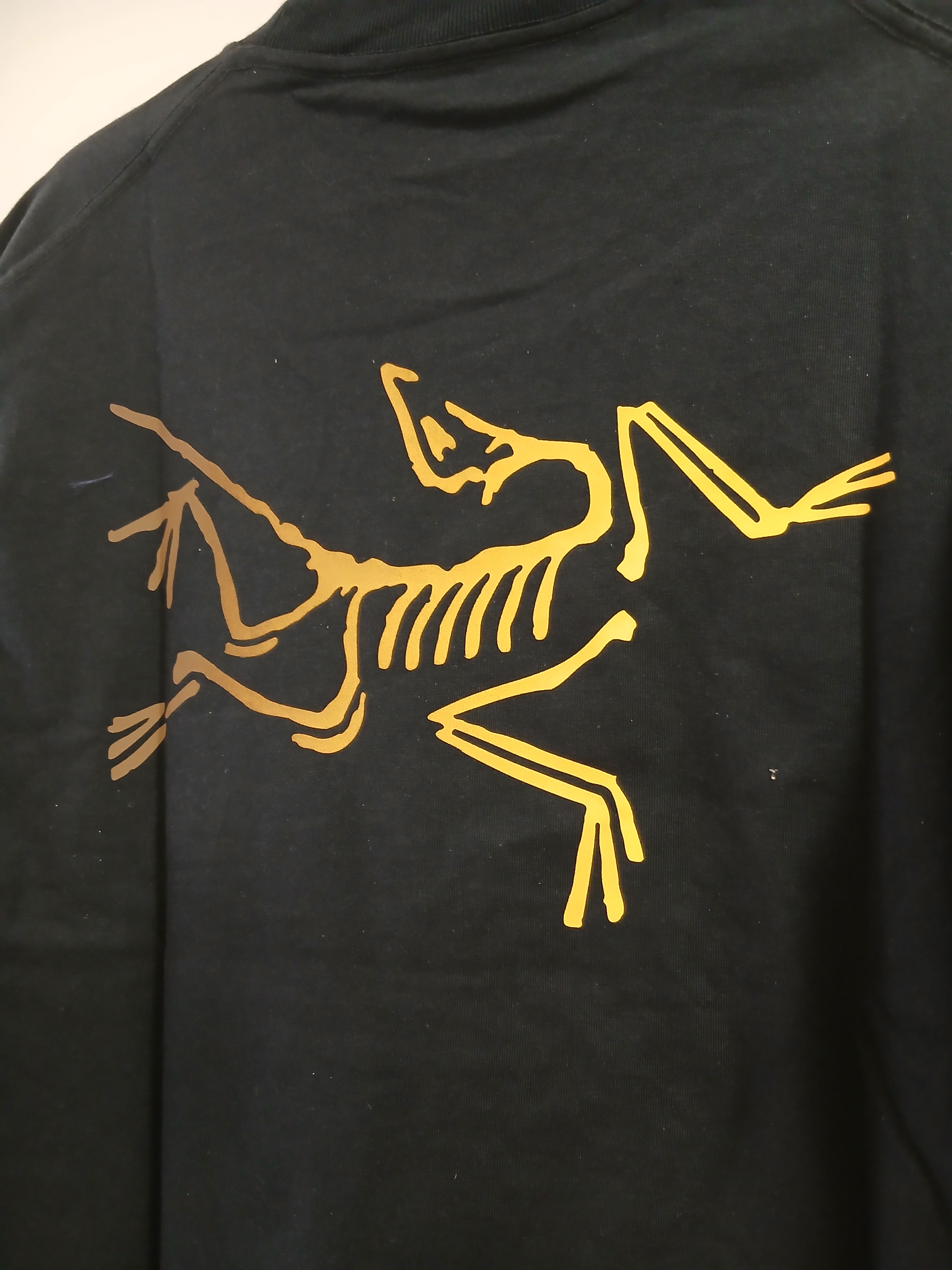 Arc'teryx Kragg Cotton Logo SS T-Shirt 24K Black 착용 스타일 - 5