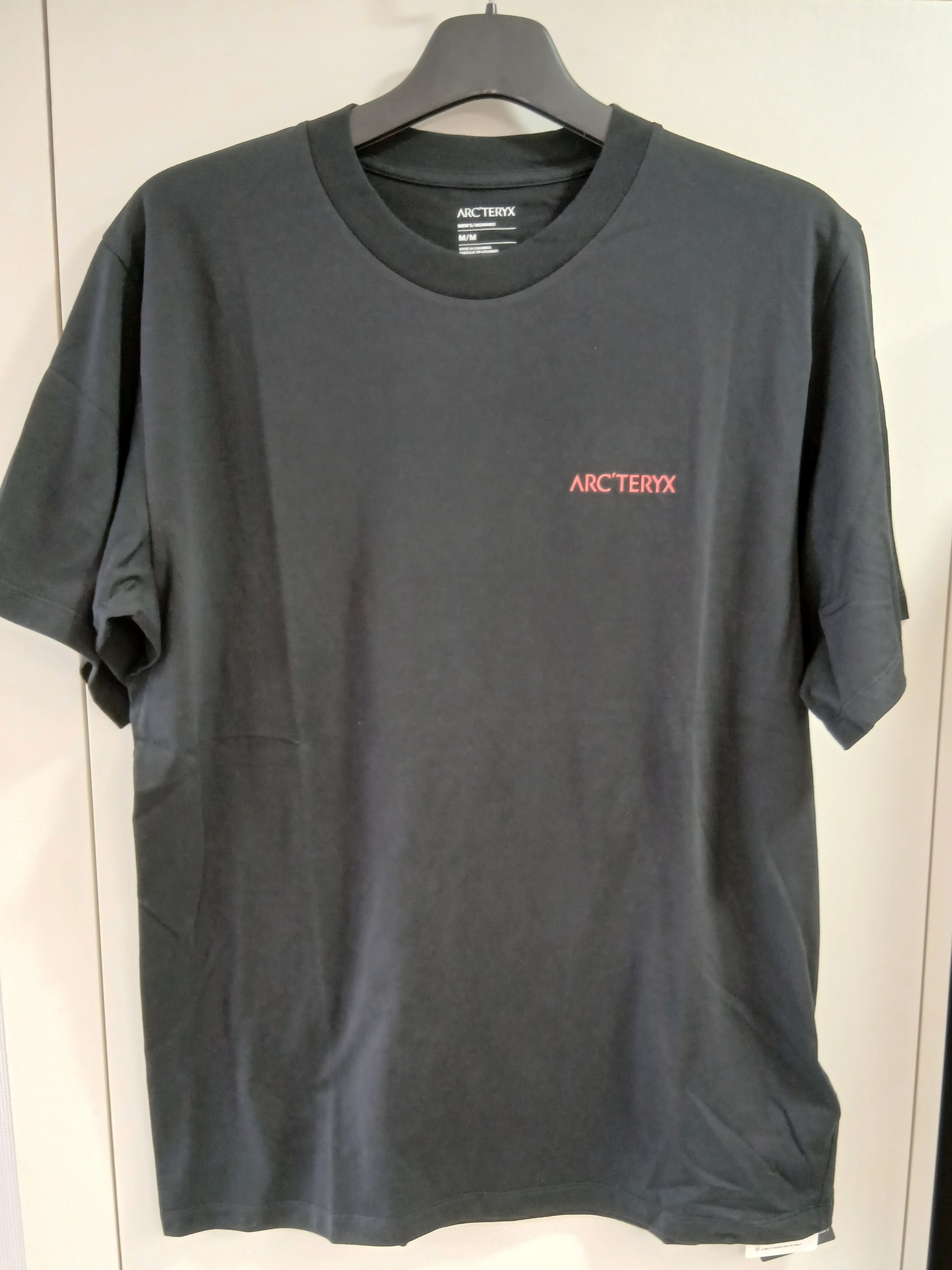 Arc'teryx Kragg SL Cotton Blurred Bird SS T-Shirt Black Dynasty 착용 스타일 - 2
