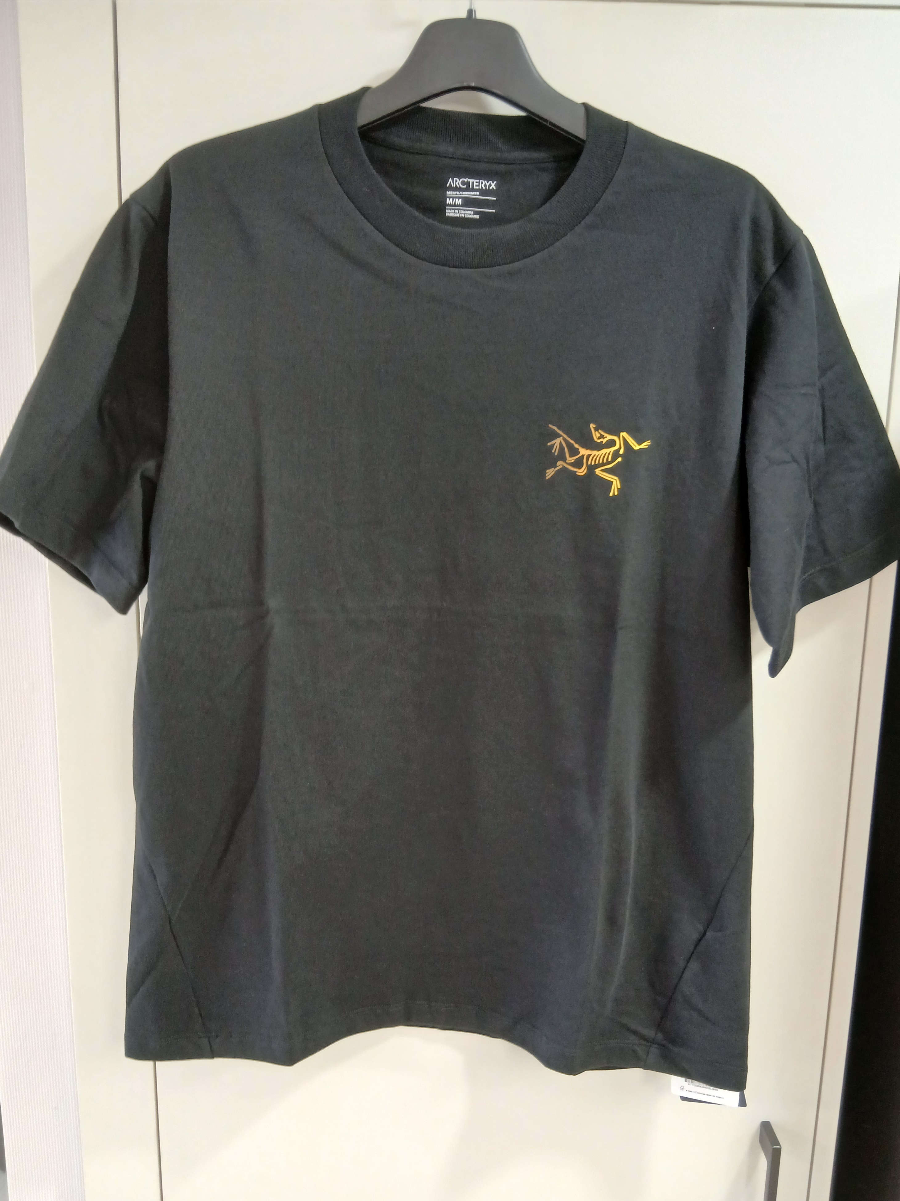 Arc'teryx Kragg Cotton Logo SS T-Shirt 24K Black 착용 스타일 - 2