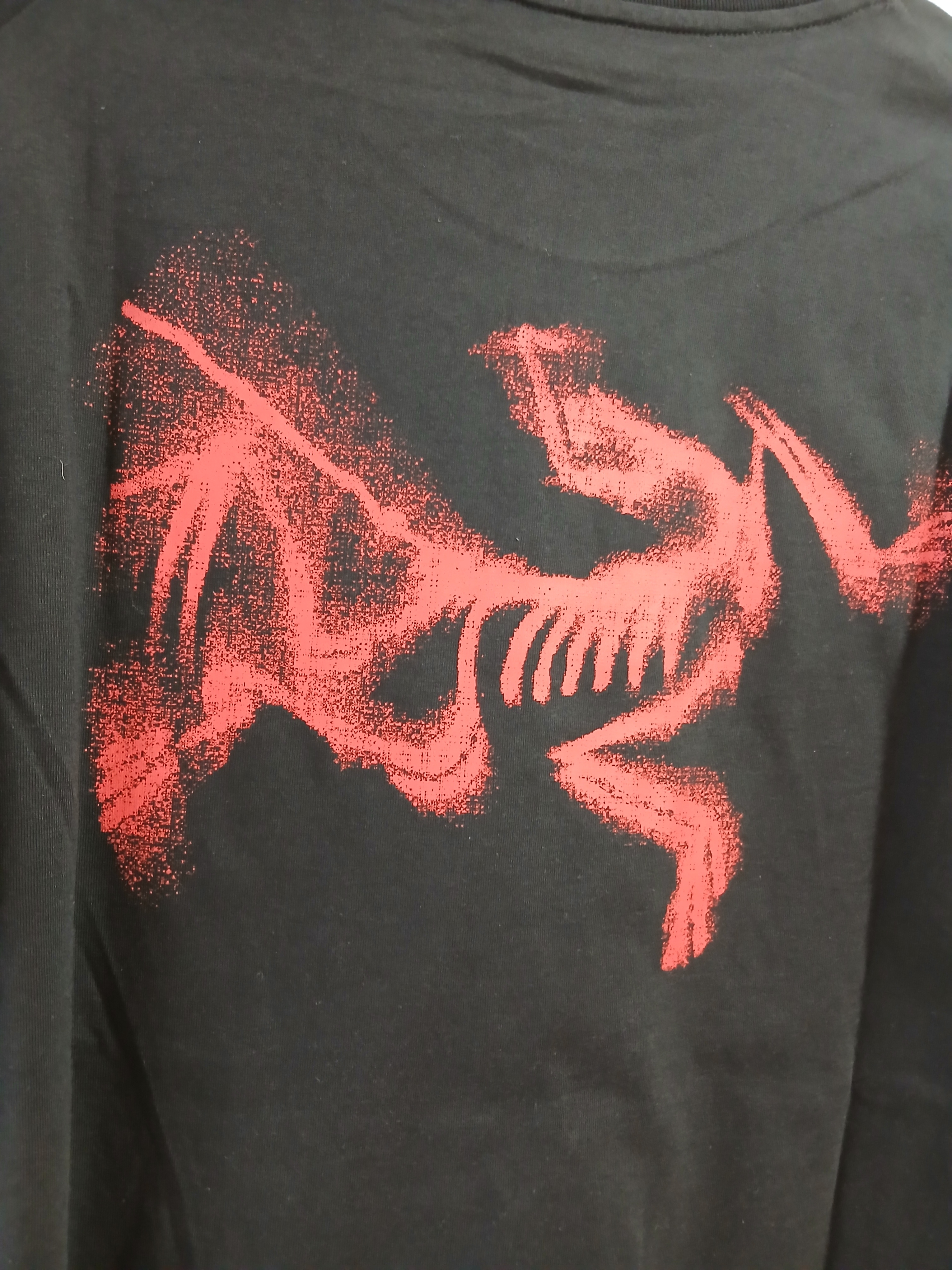 Arc'teryx Kragg SL Cotton Blurred Bird SS T-Shirt Black Dynasty 착용 스타일 - 4
