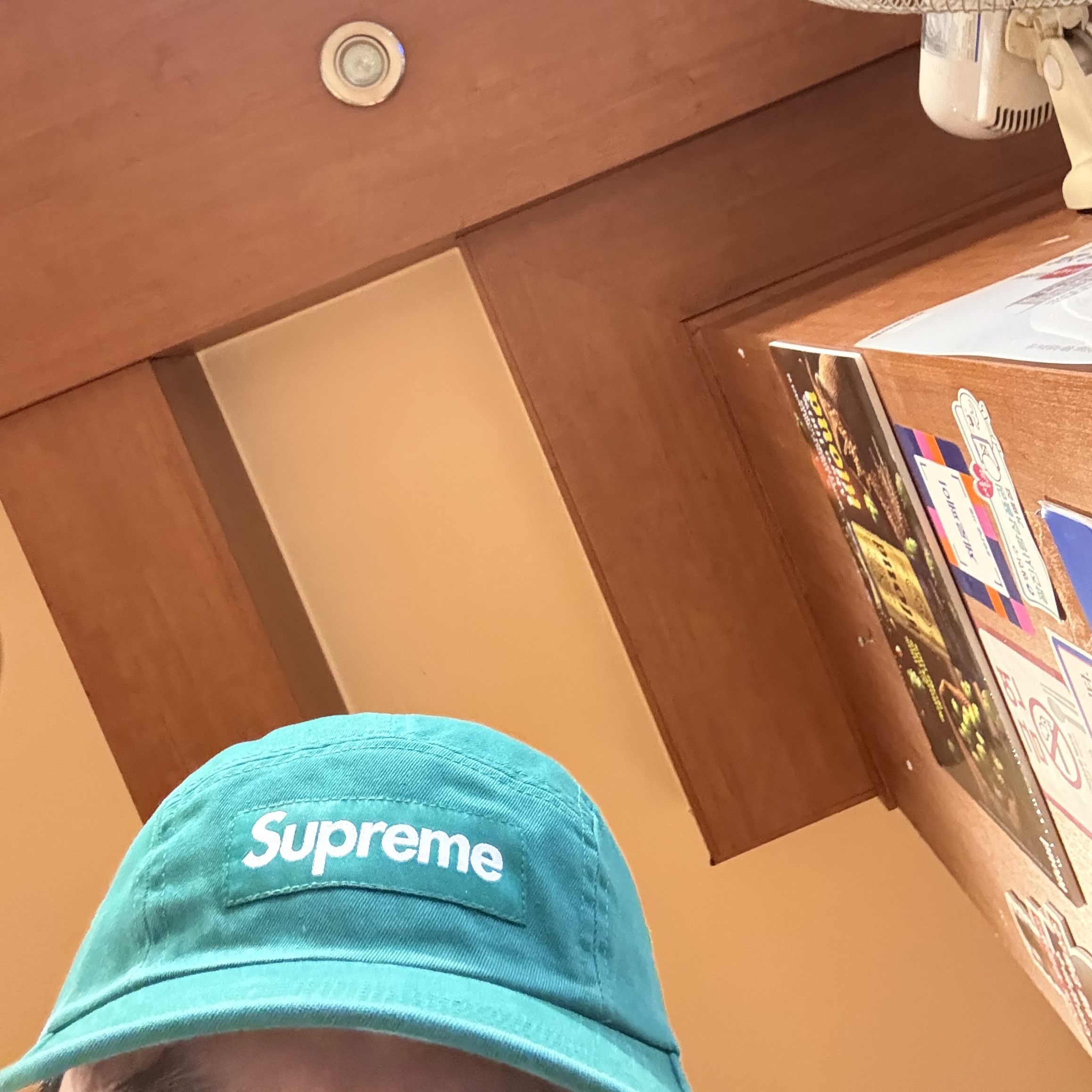 Supreme Washed Chino Twill Camp Cap Green - 24FW 착용 스타일