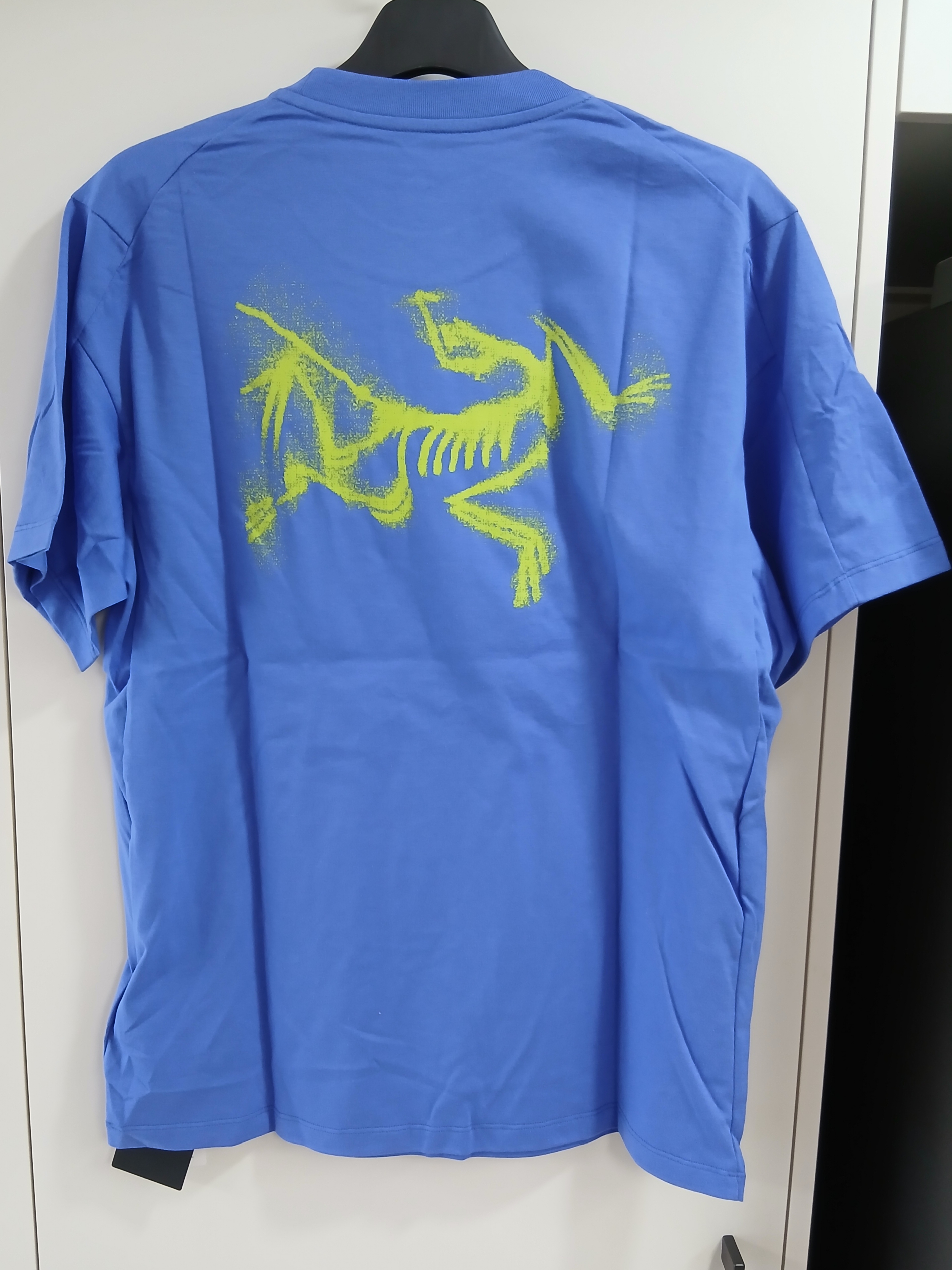 Arc'teryx Kragg SL Cotton Blurred Bird SS T-Shirt Electra Euphoria 착용 스타일 - 1
