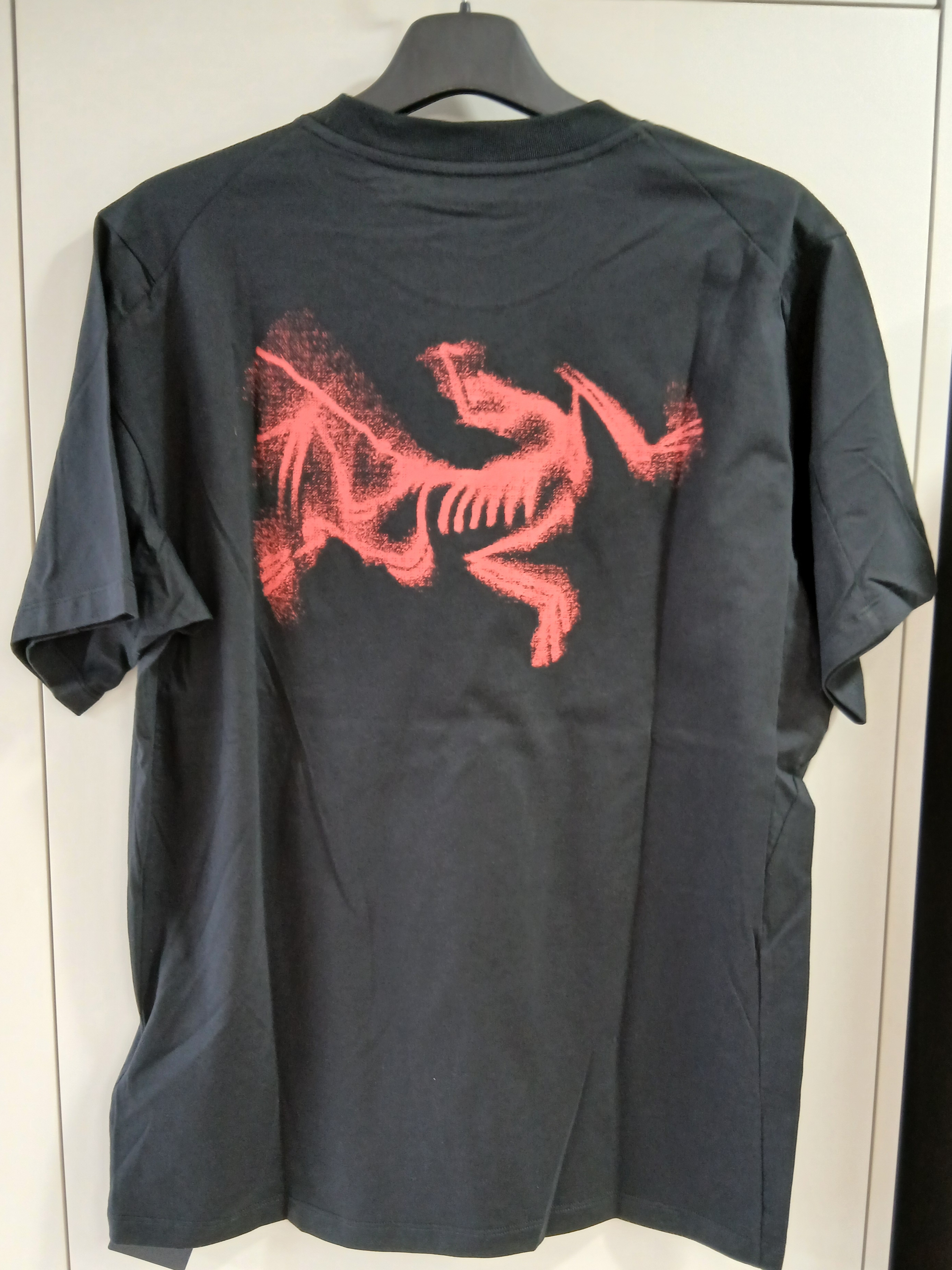 Arc'teryx Kragg SL Cotton Blurred Bird SS T-Shirt Black Dynasty 착용 스타일 - 1