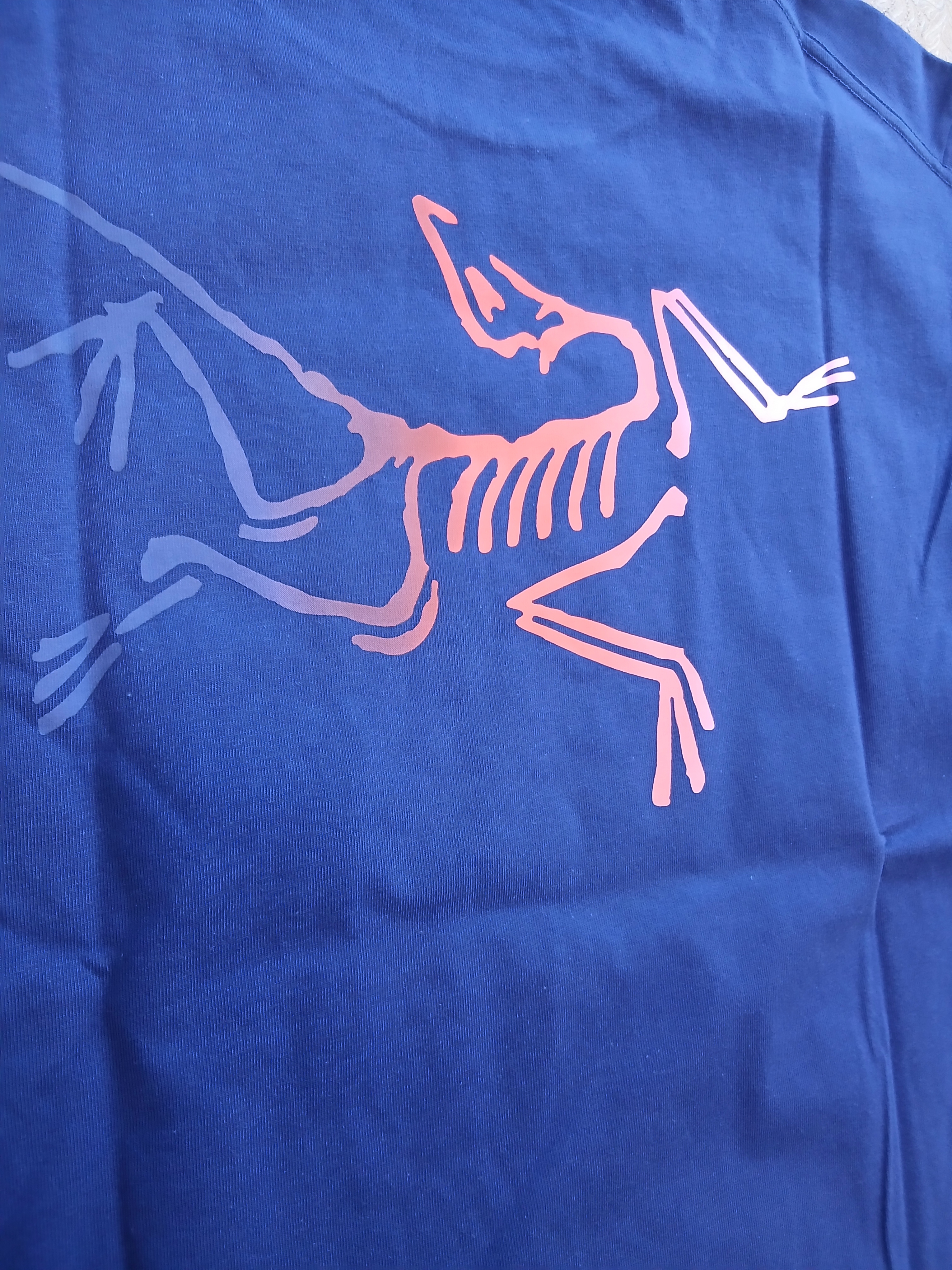 Arc'teryx Kragg Cotton Logo SS T-Shirt Soulsonic Dynasty 착용 스타일 - 5