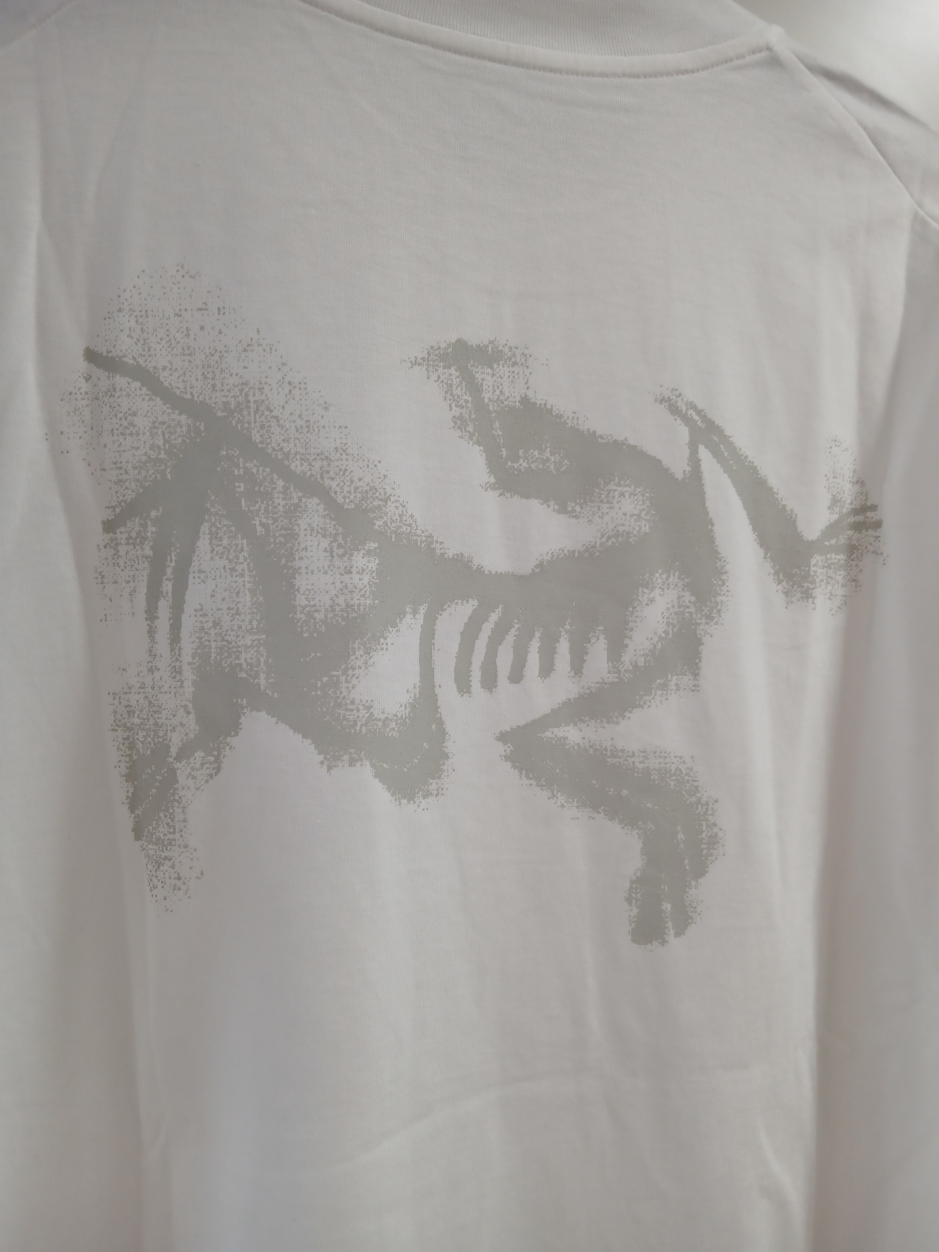 Arc'teryx Kragg SL Cotton Blurred Bird SS T-Shirt White Light Atmos 착용 스타일 - 4