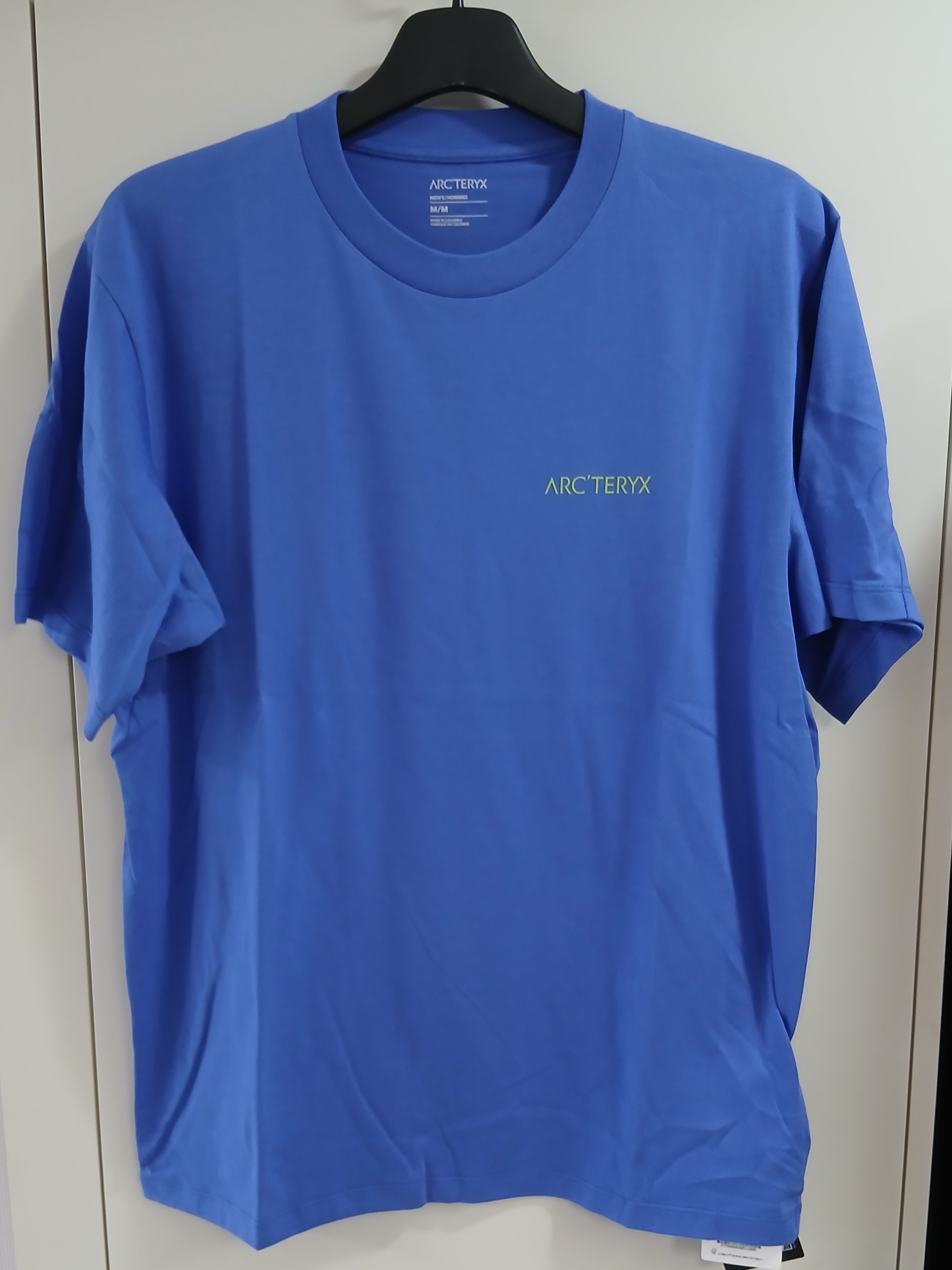 Arc'teryx Kragg SL Cotton Blurred Bird SS T-Shirt Electra Euphoria 착용 스타일 - 2