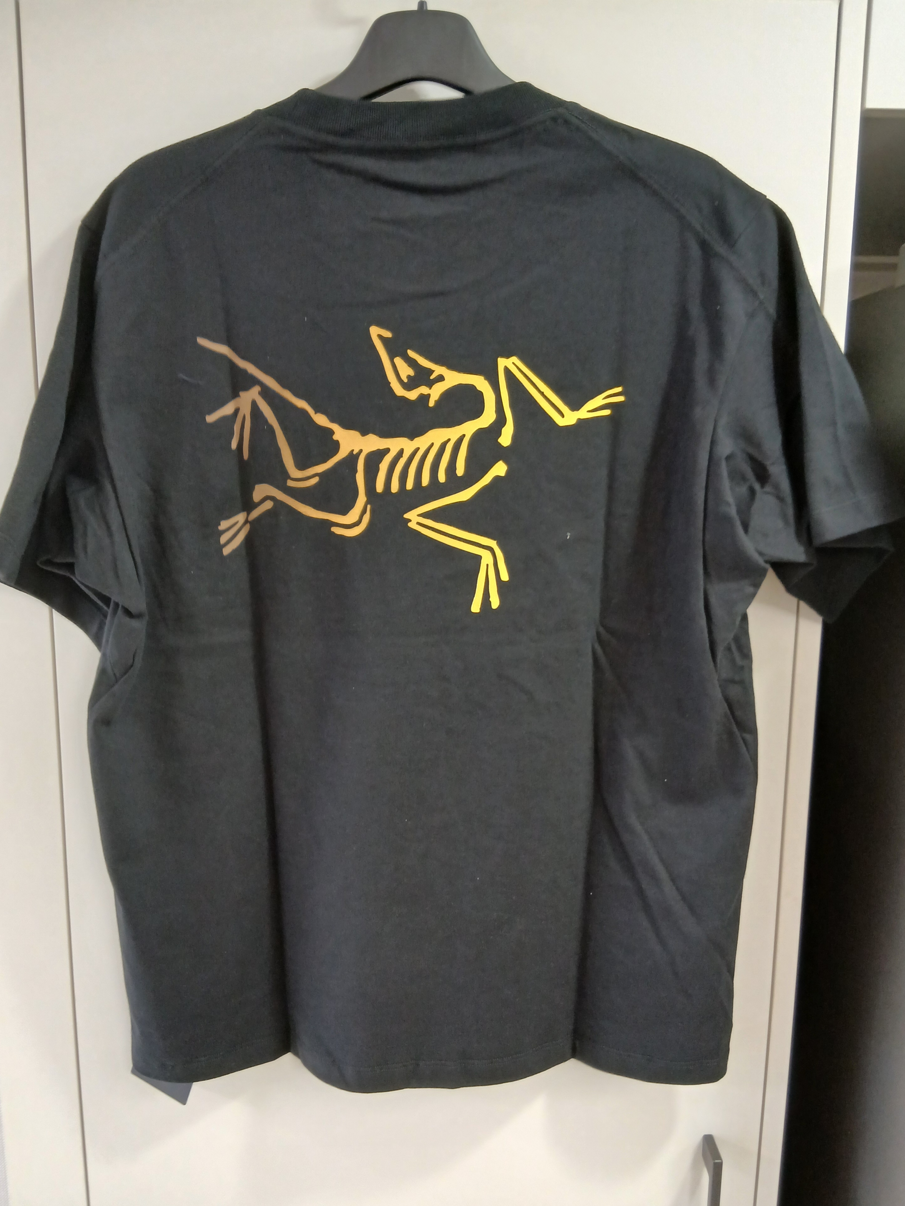 Arc'teryx Kragg Cotton Logo SS T-Shirt 24K Black 착용 스타일 - 1