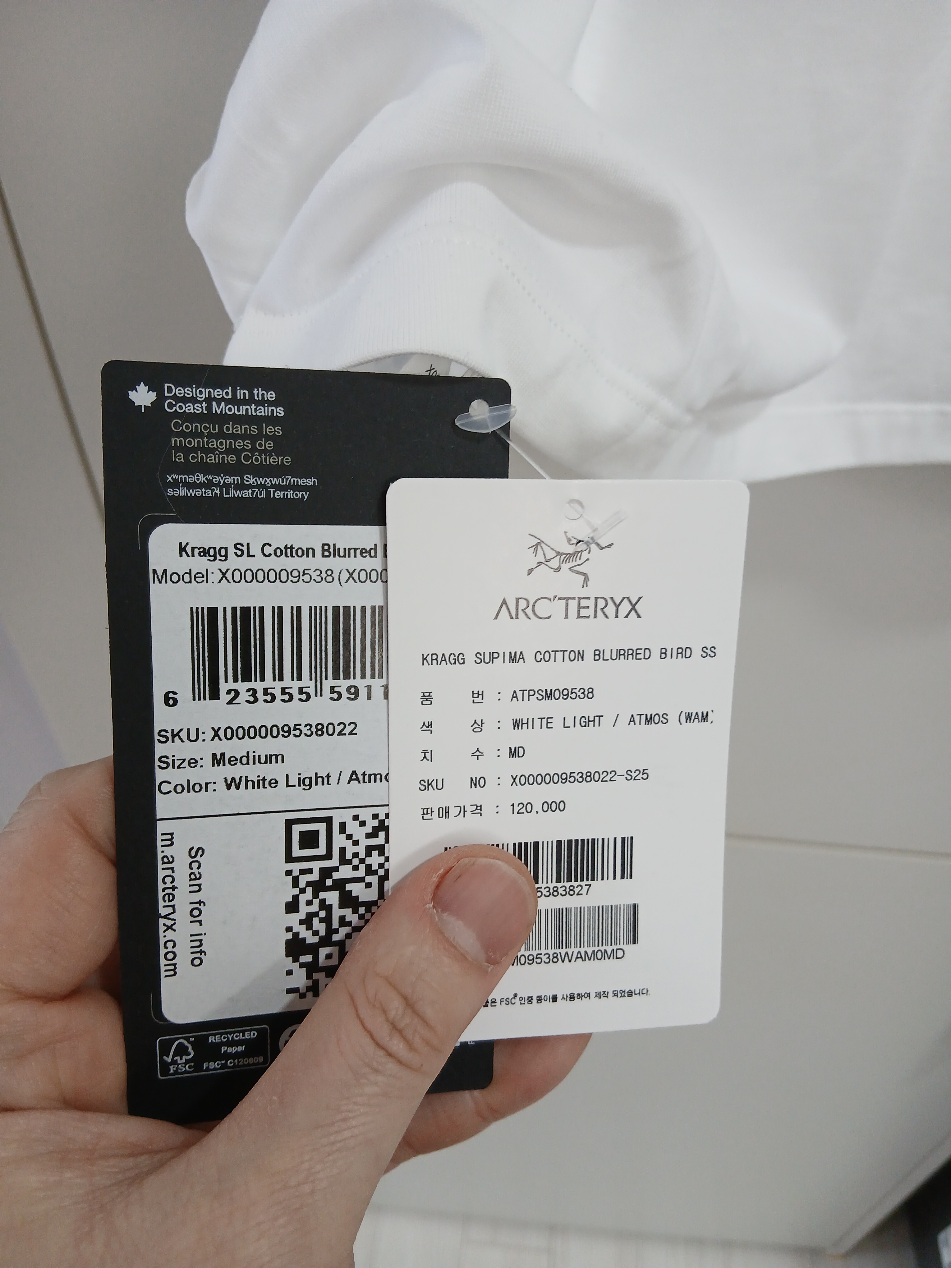 Arc'teryx Kragg SL Cotton Blurred Bird SS T-Shirt White Light Atmos 착용 스타일 - 3