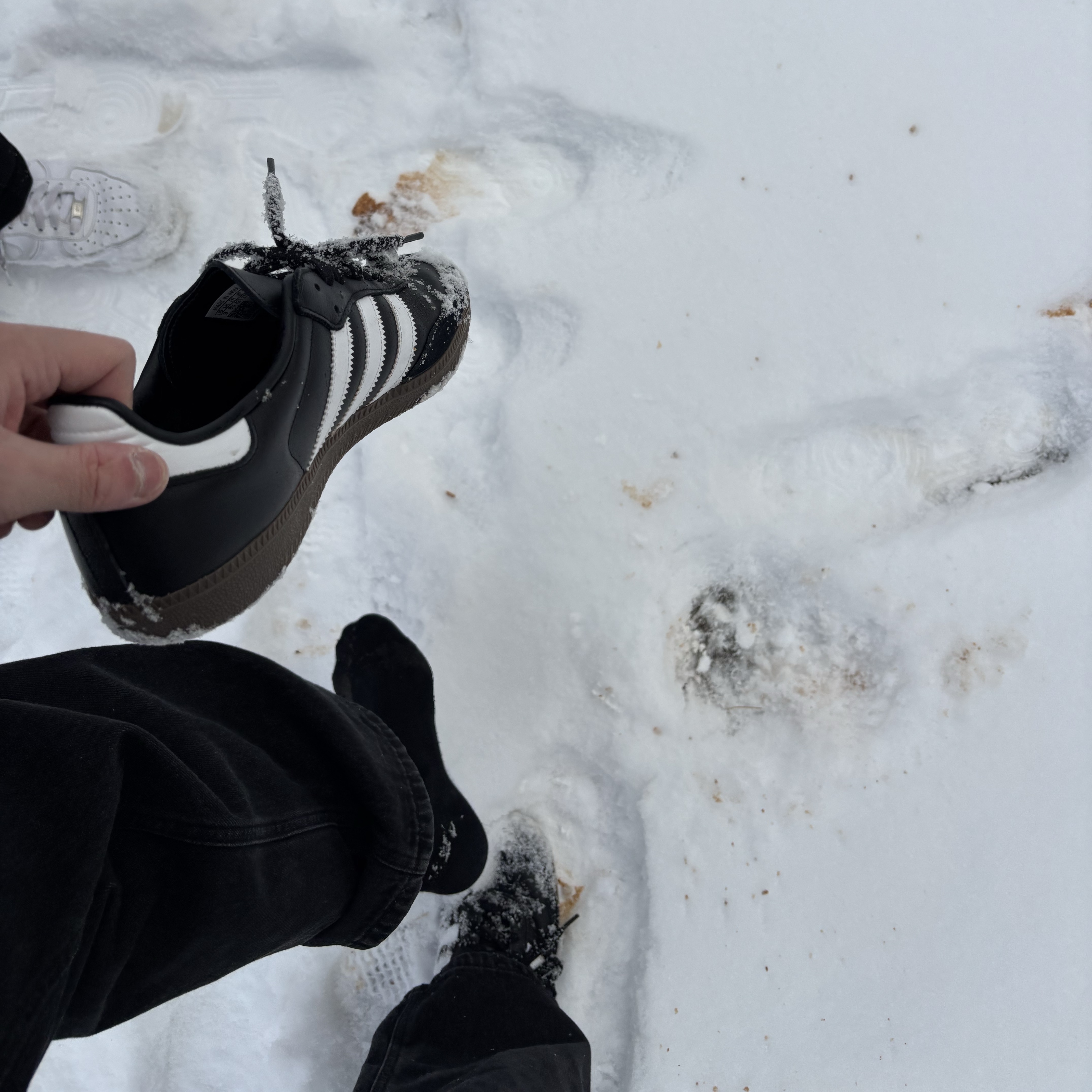 Adidas Samba OG Black White Gum 착용 스타일 - 4