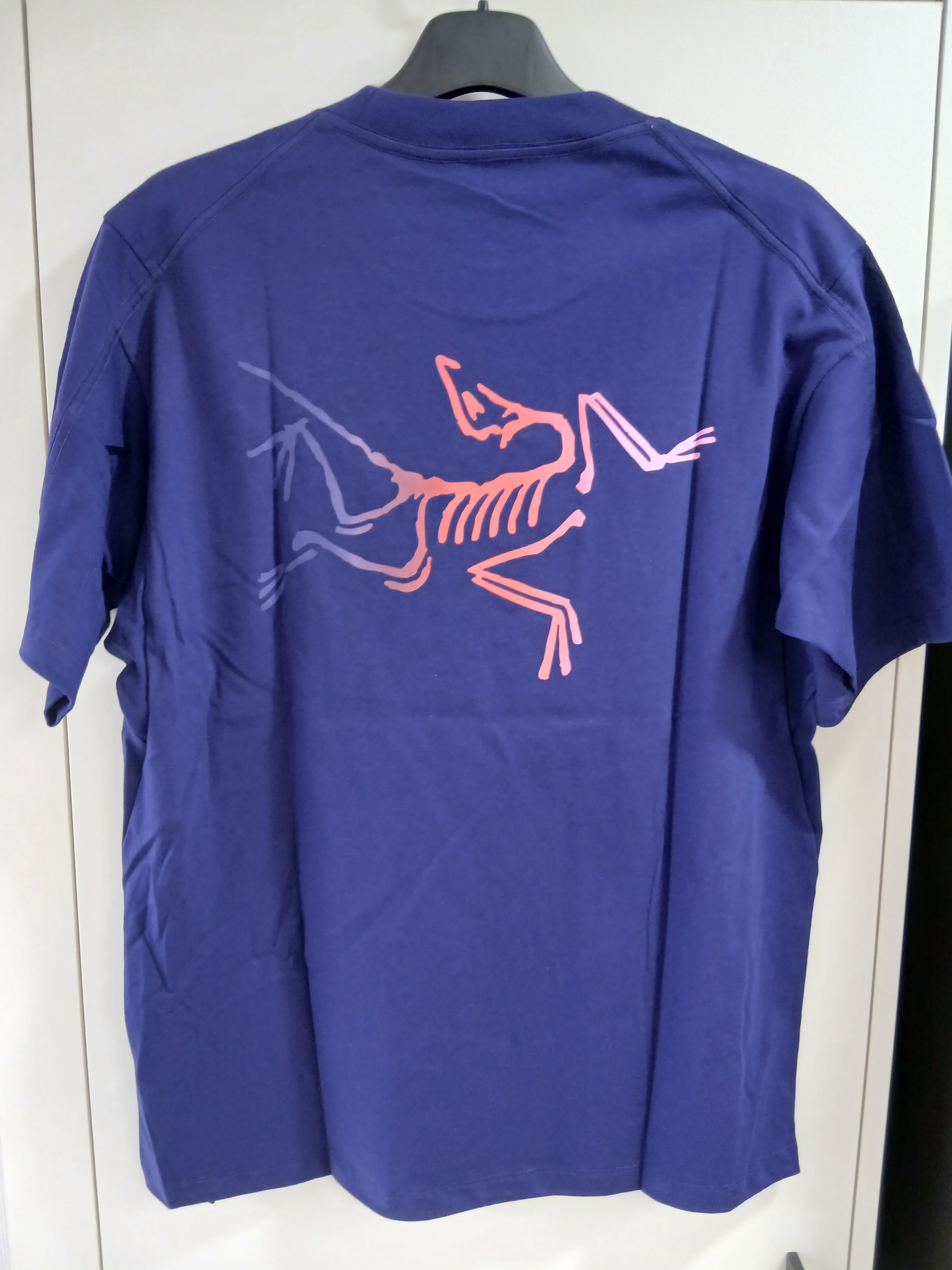 Arc'teryx Kragg Cotton Logo SS T-Shirt Soulsonic Dynasty 착용 스타일 - 1