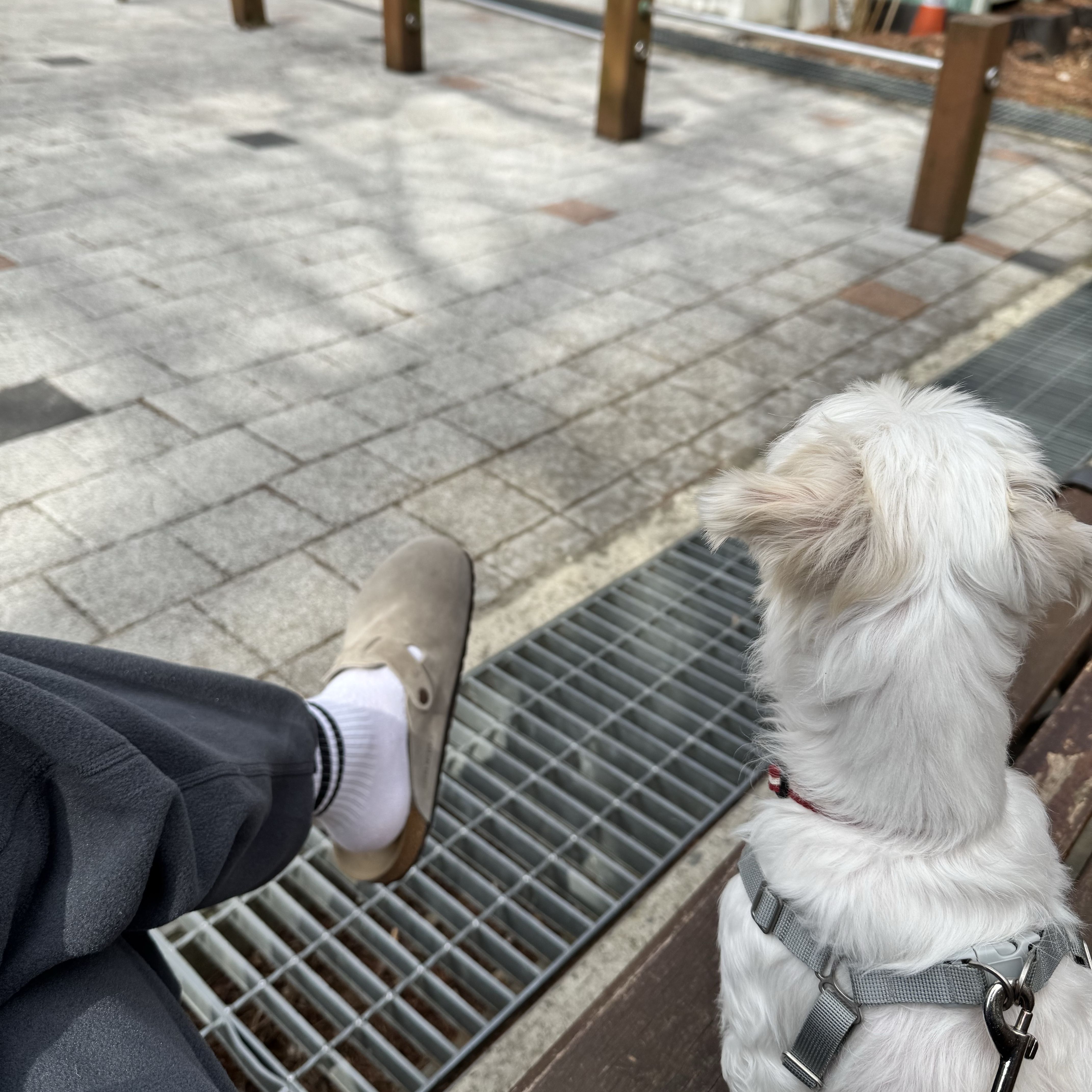 Birkenstock Boston Suede Leather Taupe - Narrow, Nike ACG Polartec Wolf Tree Pants Anthracite Black - Asia 착용 스타일