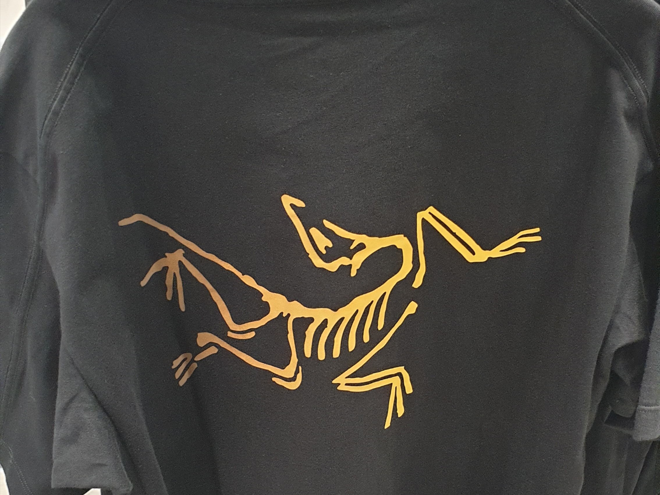 Arc'teryx Kragg Cotton Heatmap LS T-Shirt Black, Arc'teryx Kragg Cotton Heatmap LS T-Shirt White Light Multi 착용 스타일 - 5