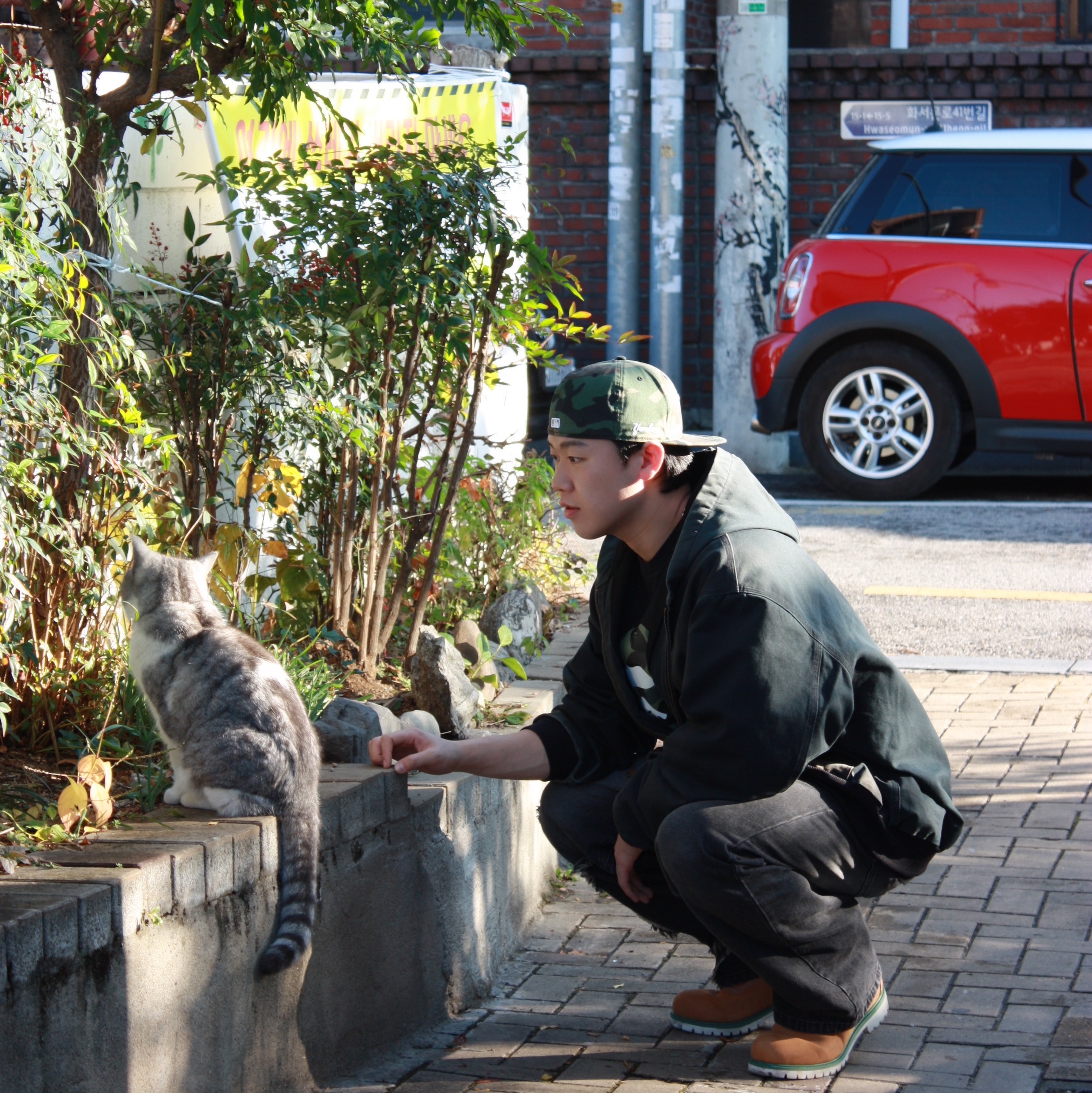 KASINA x Timberland 6 In Premium Vibram GTX Wheat, BAPE ABC Camo College T-Shirt Black Green 착용 스타일 - 1