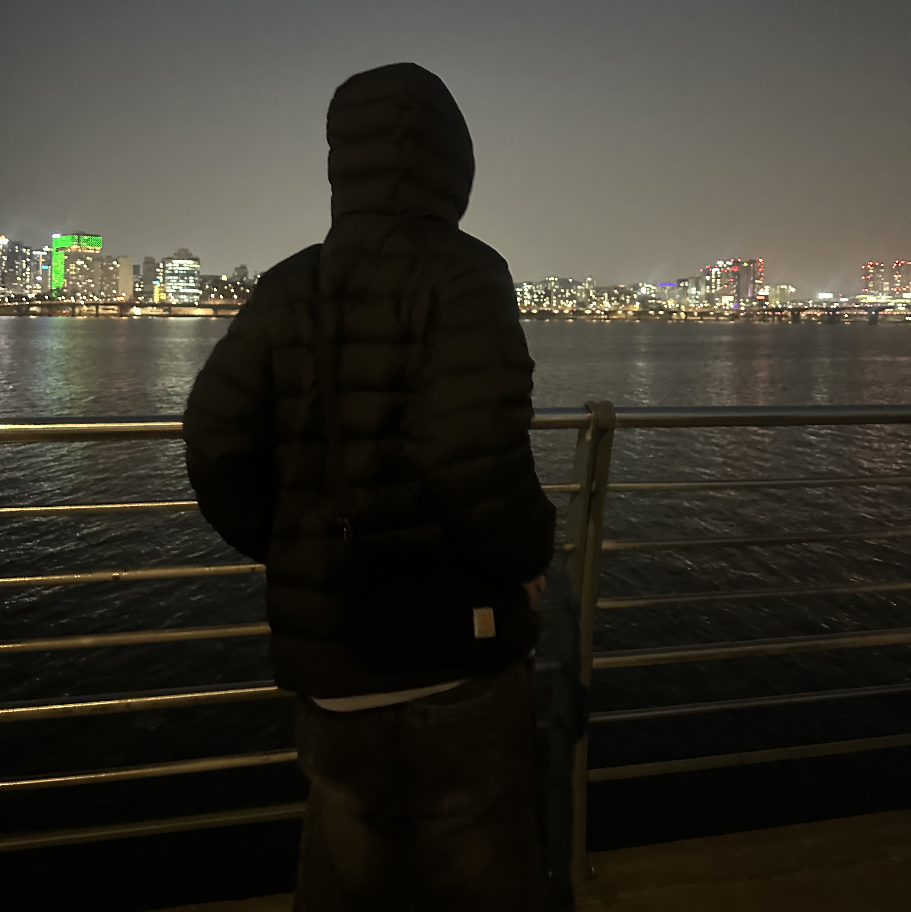 Musinsa Standard City Leisure Hooded Light Down Jacket Black 착용 스타일