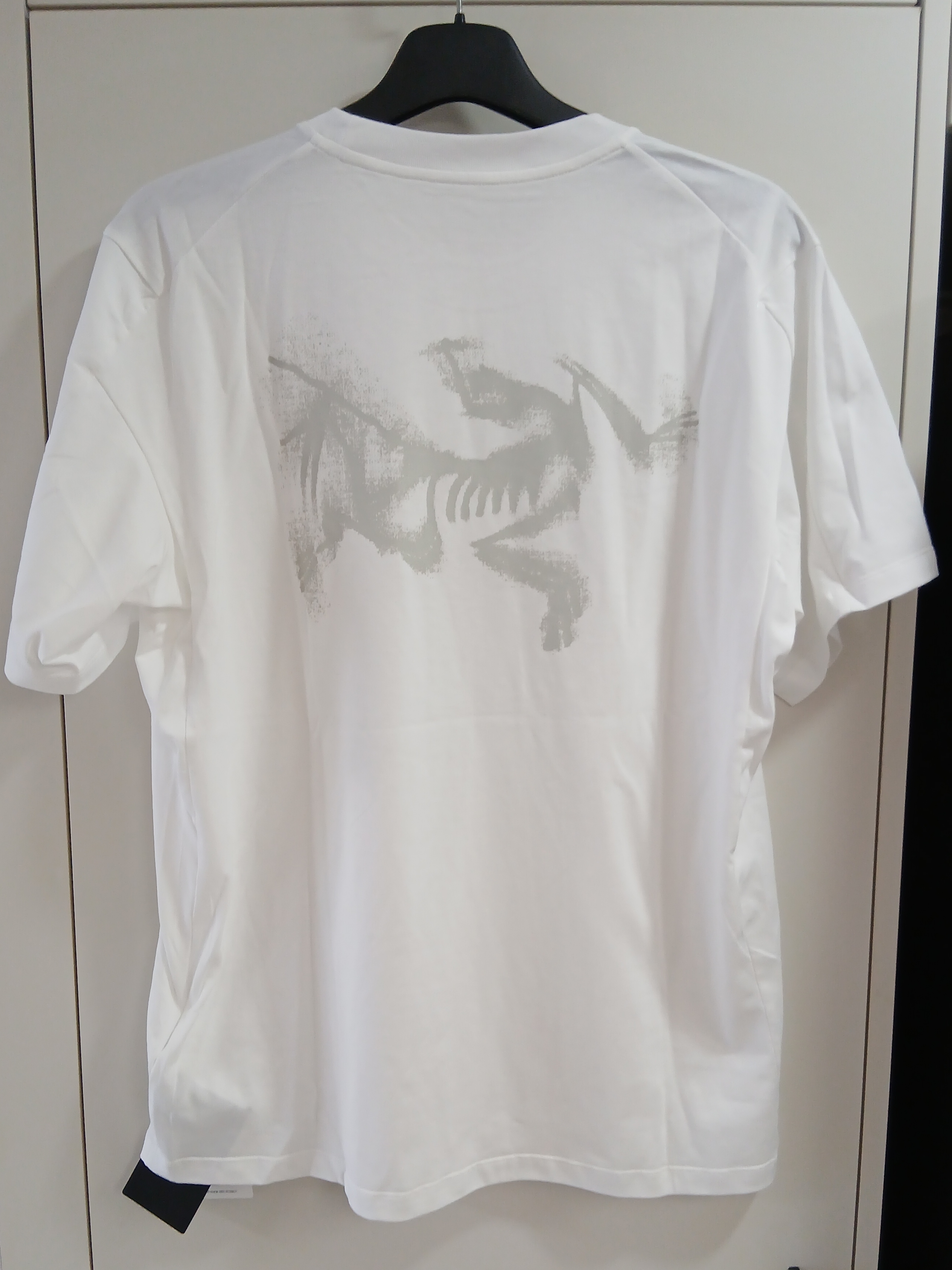 Arc'teryx Kragg SL Cotton Blurred Bird SS T-Shirt White Light Atmos 착용 스타일 - 1
