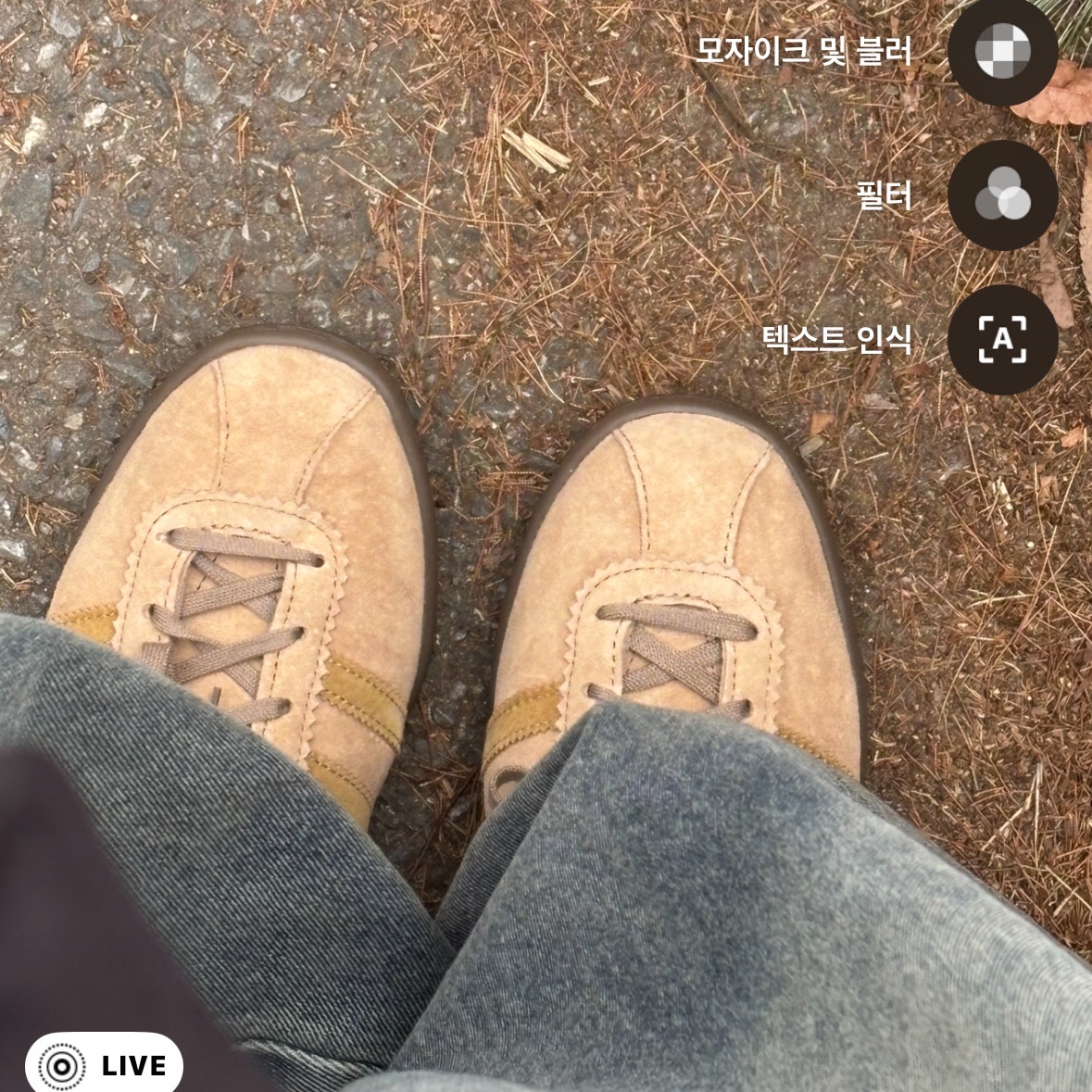 Adidas Tobacco Pantone Mesa 착용 스타일