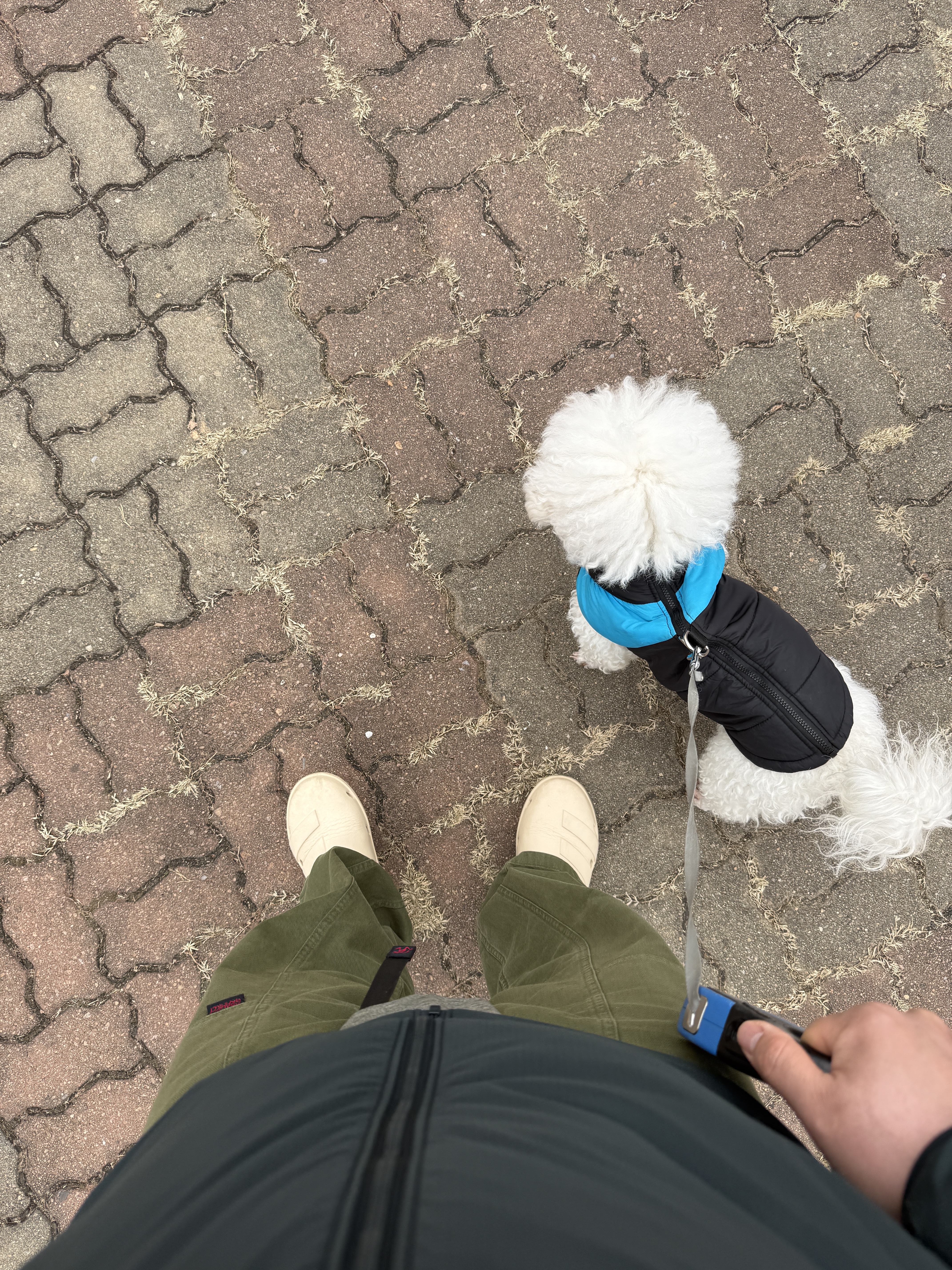 너구리님의 스타일