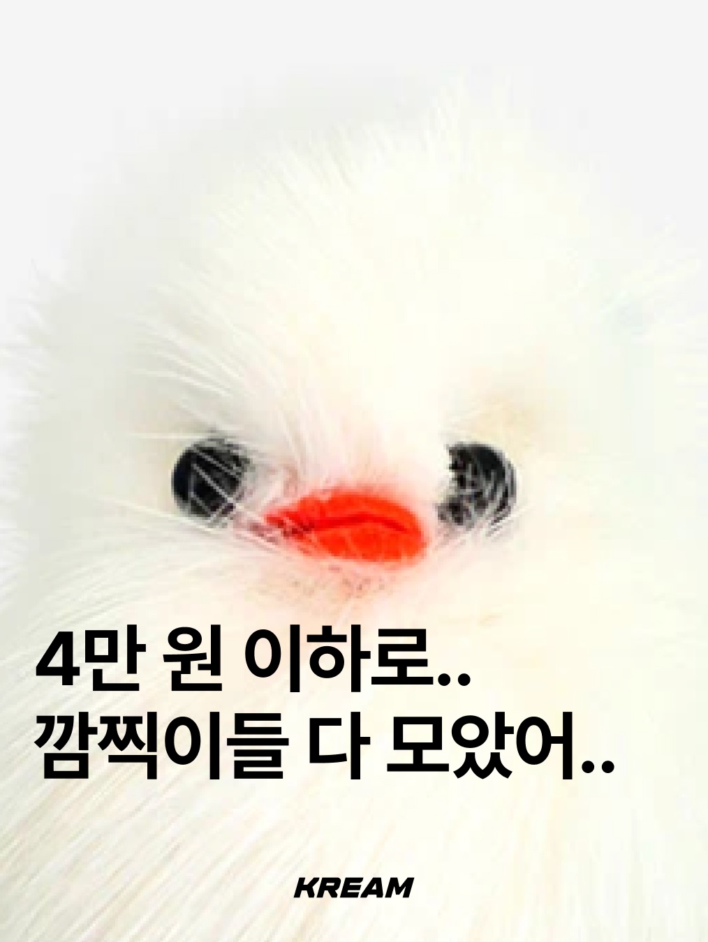 블루밍테일 밍밍고치 키링, 월레스와 그로밋 머그 컵 모자 쓴 그로밋 착용 스타일 - 1