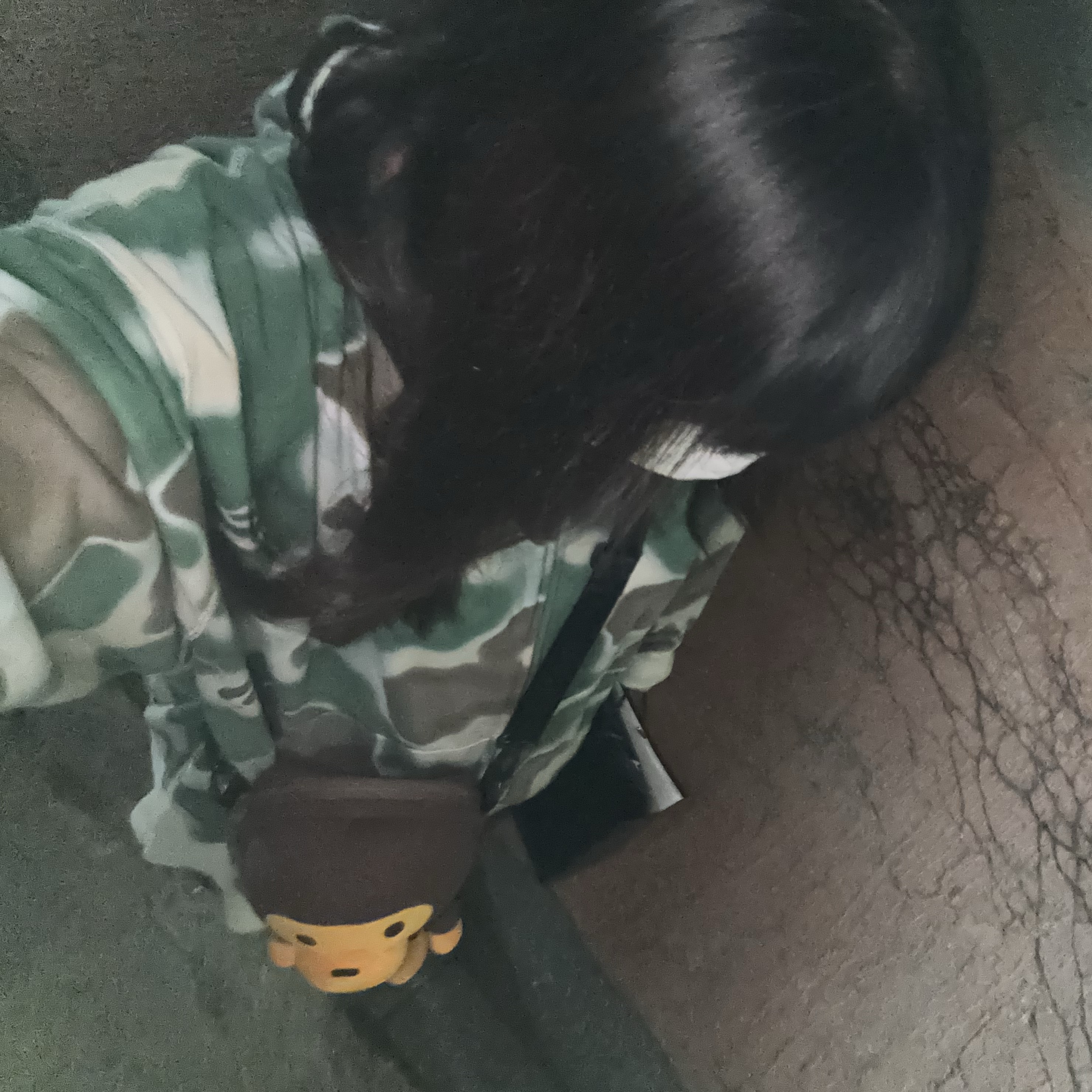 BAPE Baby Milo Plush Cross Bag Brown 착용 스타일 - 1