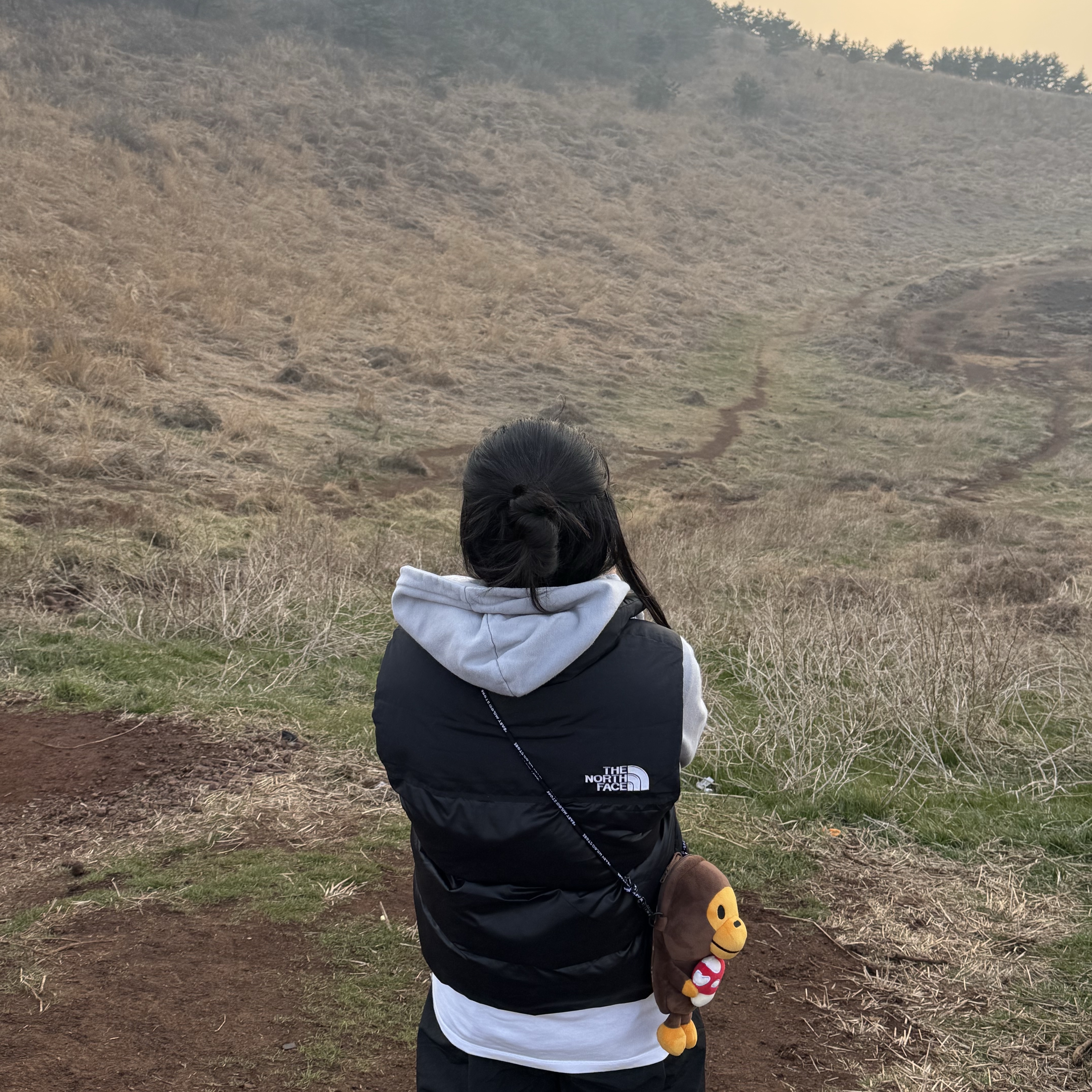 The North Face Nuptse On Ball Vest Black, BAPE Baby Milo Plush Mobile Bag Brown 착용 스타일