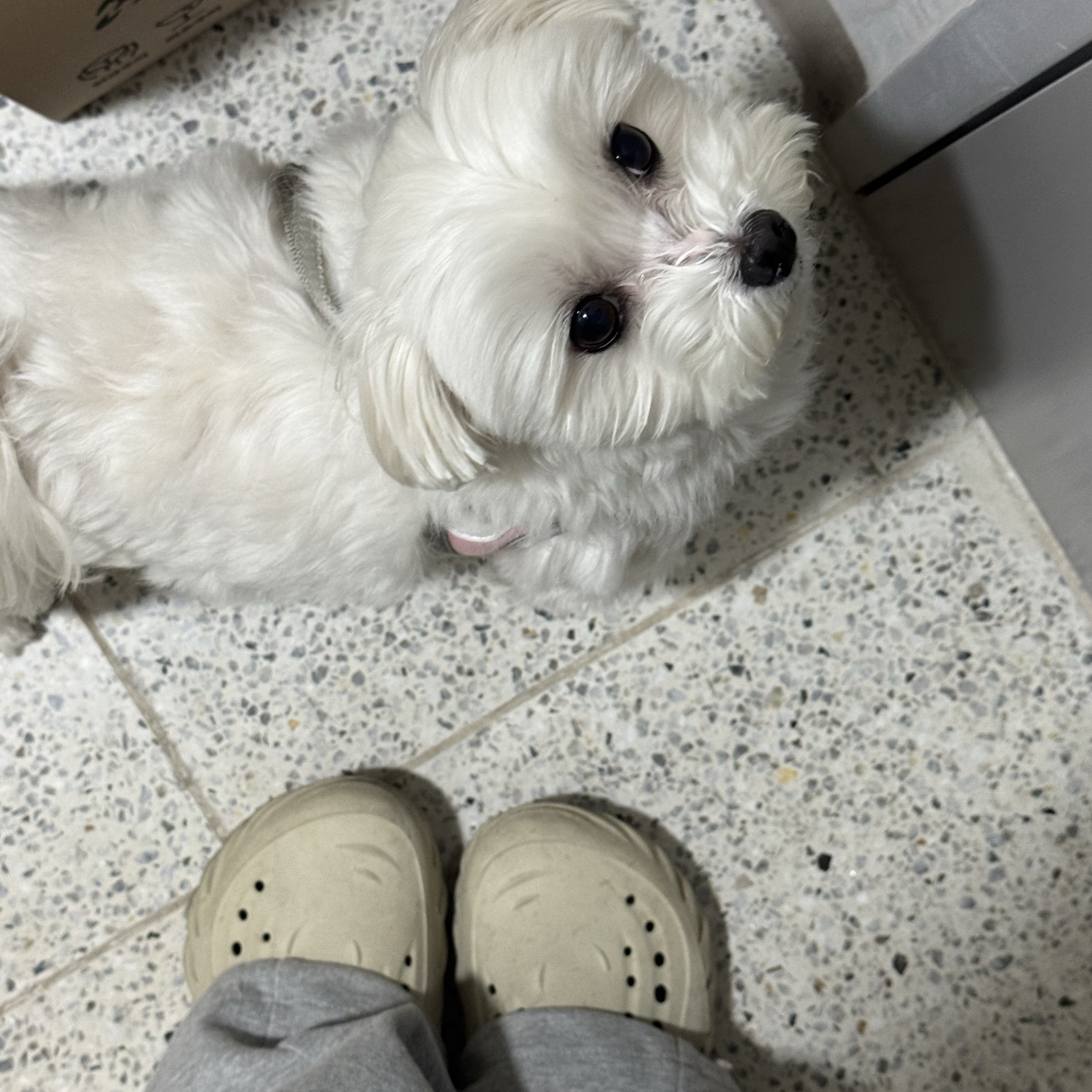 Crocs Echo Clog Bone Black 착용 스타일 - 1