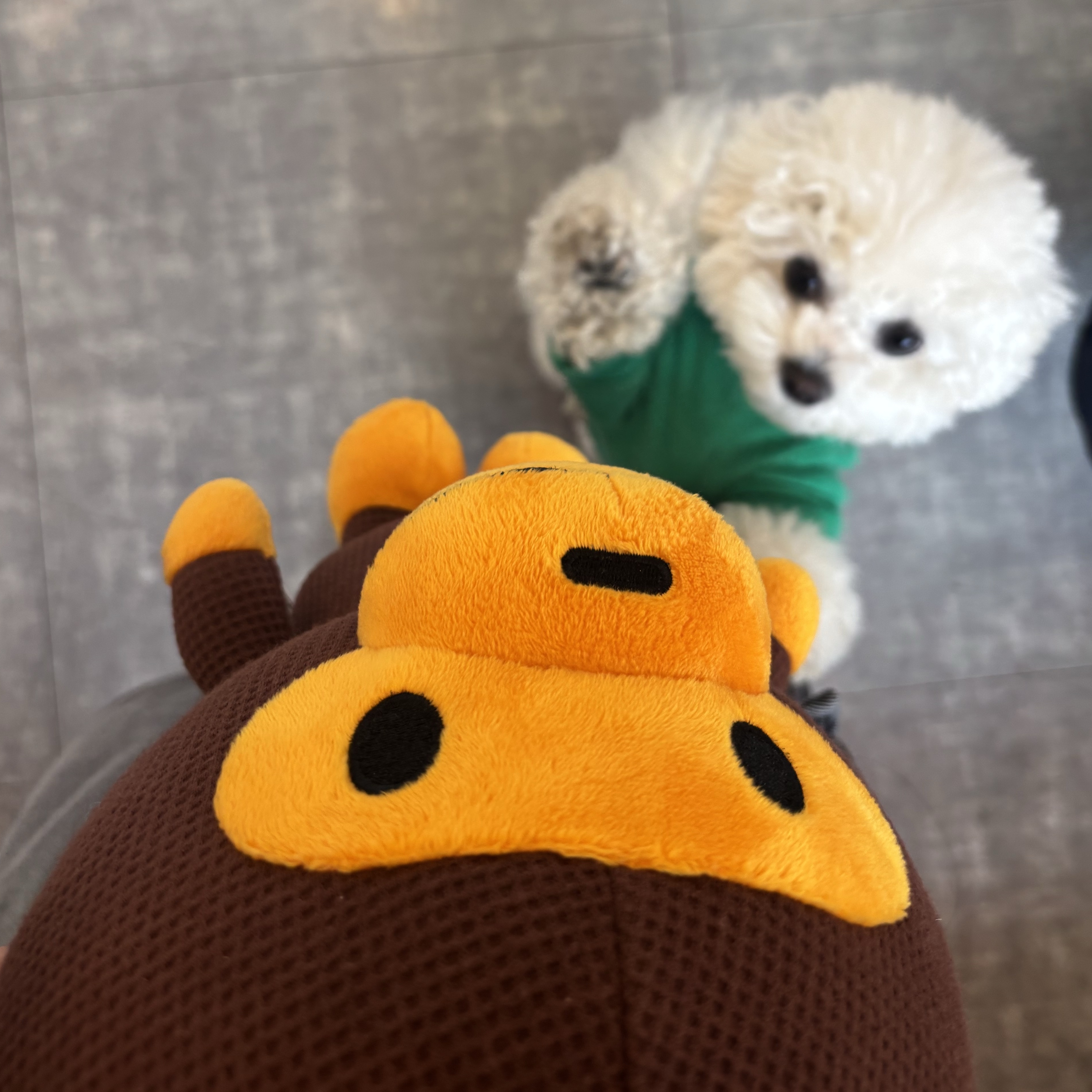 BAPE Baby Milo Plush Cross Bag Brown 착용 스타일 - 3