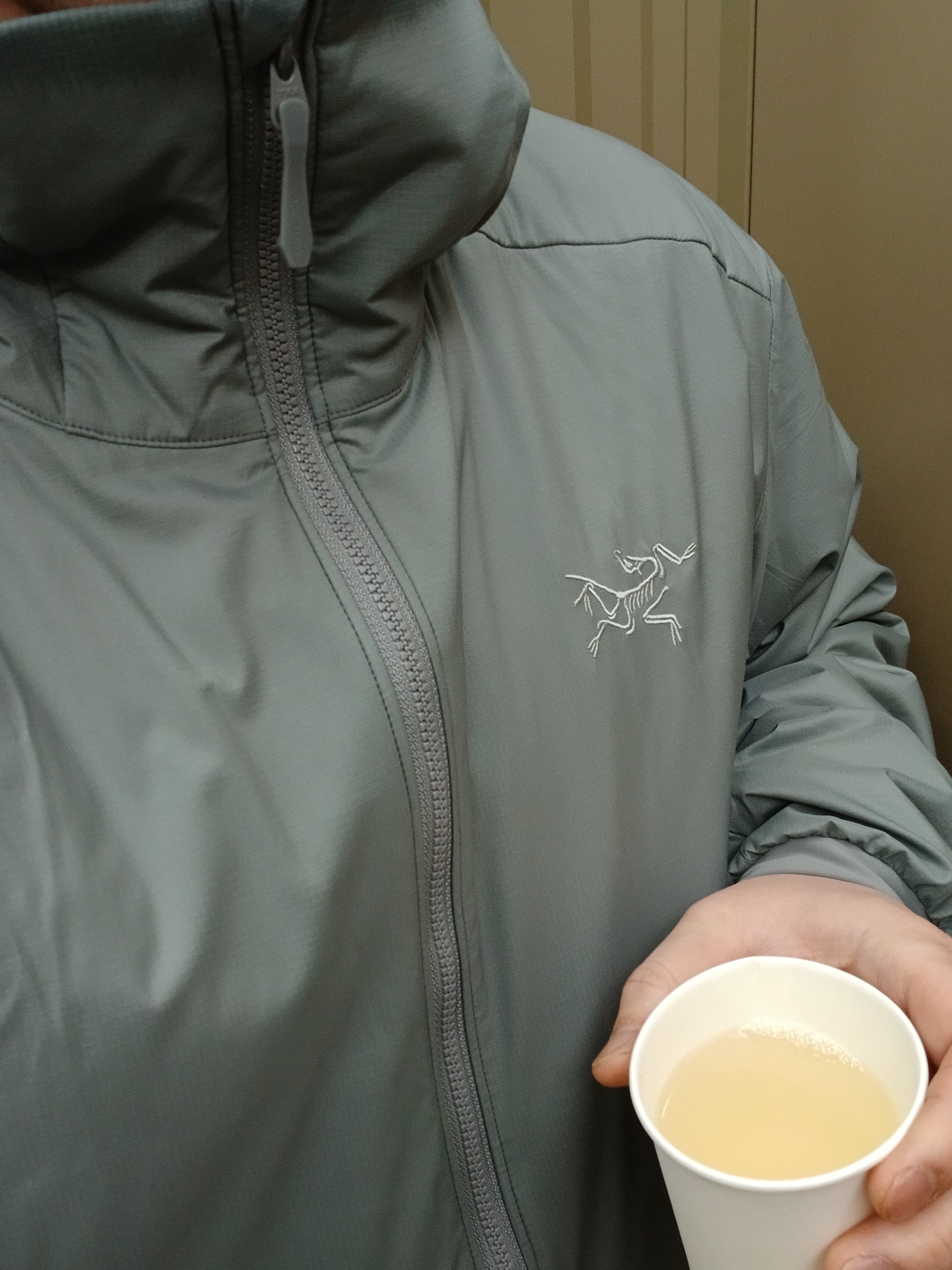 Arc'teryx Atom Hoody Void, Arc'teryx Atom Hoody Black 착용 스타일 - 5