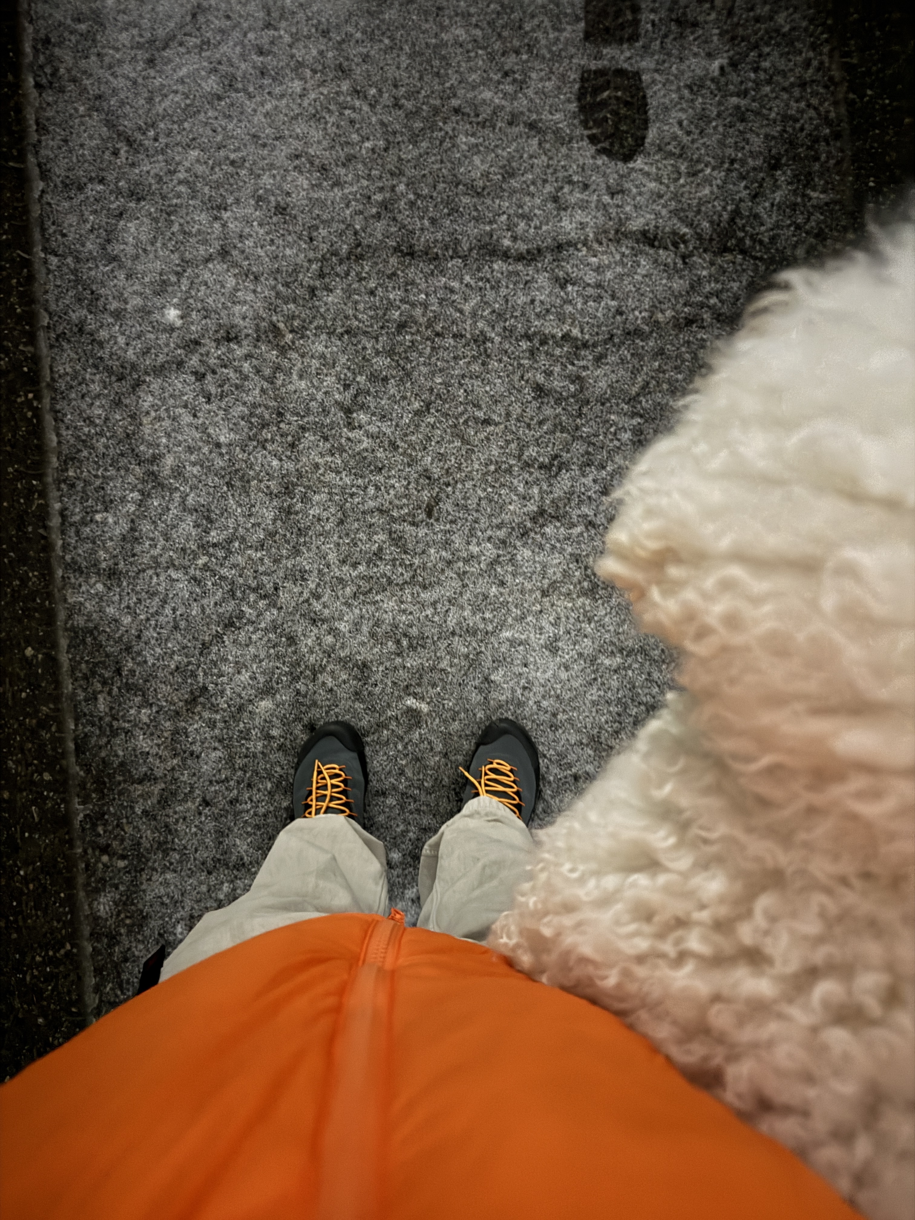 Arc'teryx Nuclei SV Parka Phenom 착용 스타일
