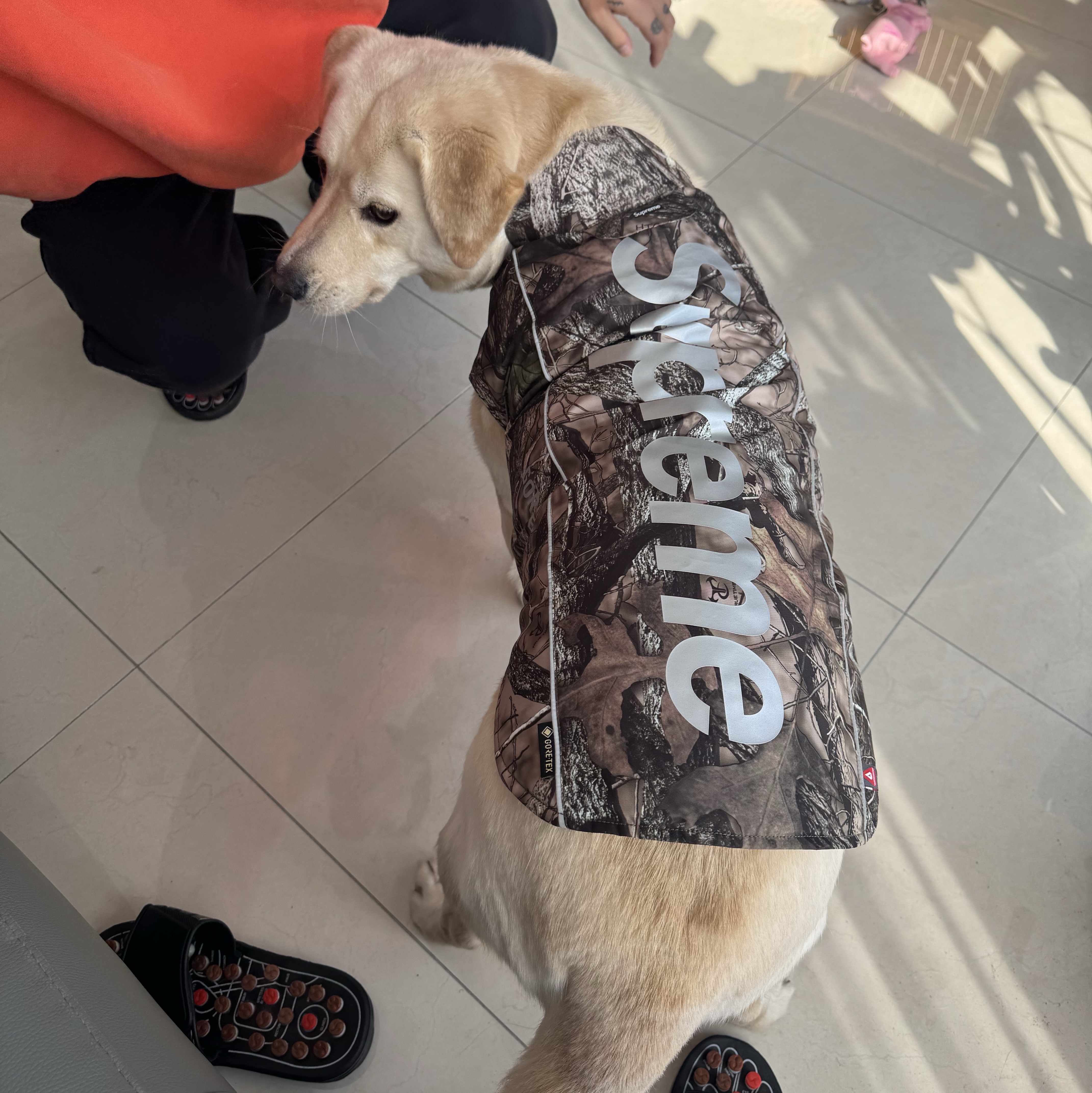 Supreme Gore-Tex Dog Jacket TrueTimber HTC Fall Camo - 24FW 착용 스타일 - 2