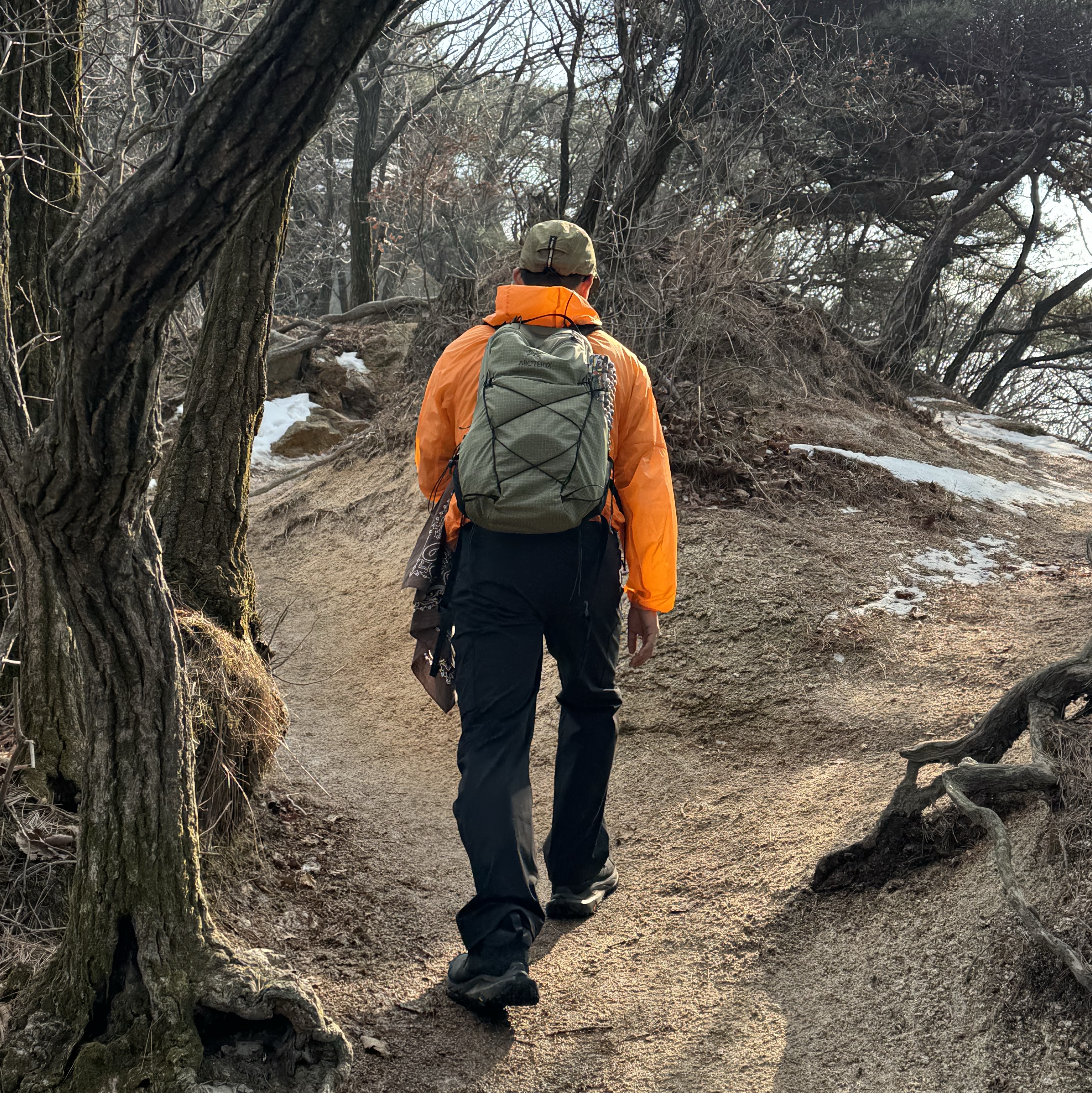 Arc'teryx Aerios 18 Backpack Chloris Forage 착용 스타일