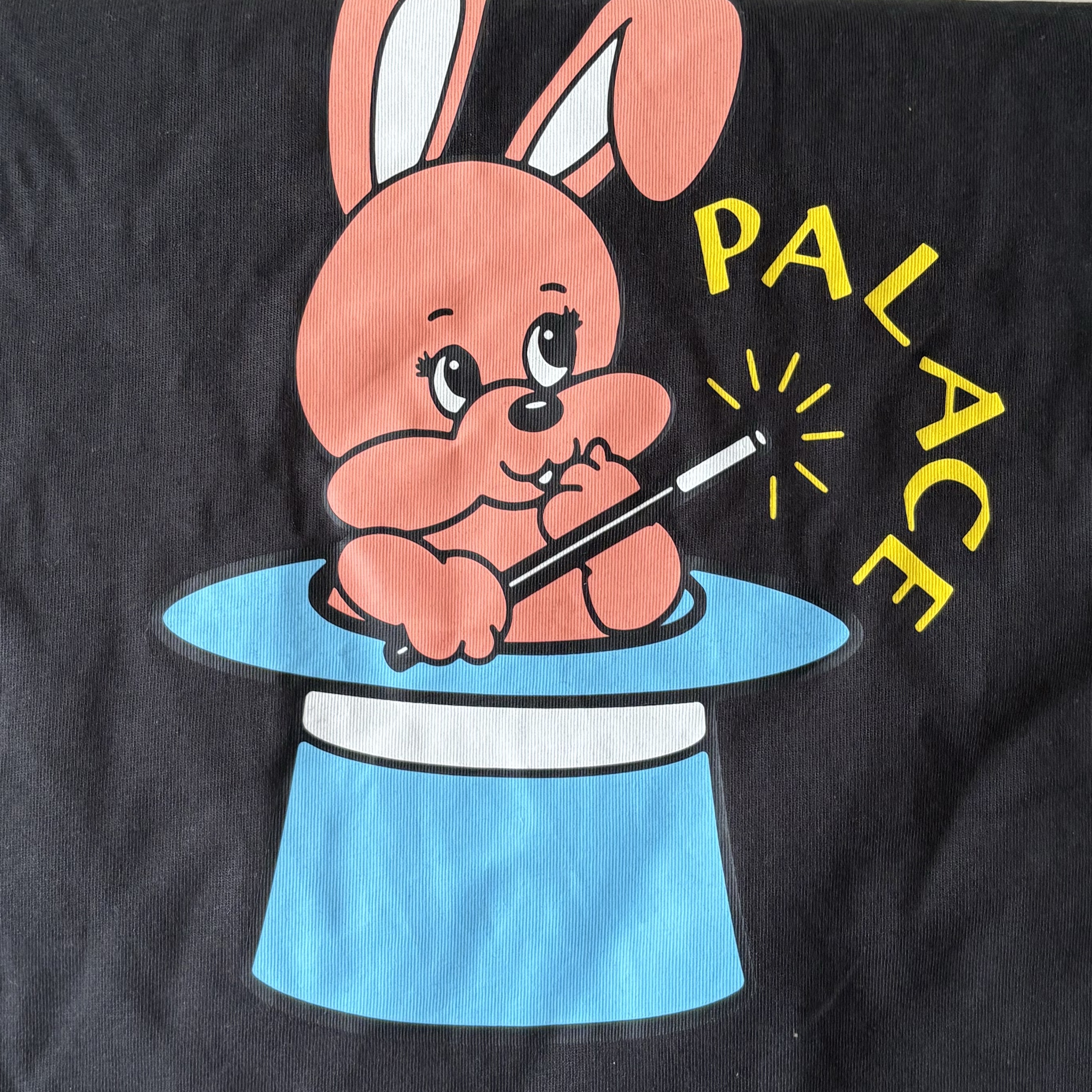Palace Bunny T-Shirt Black - 25SS 착용 스타일