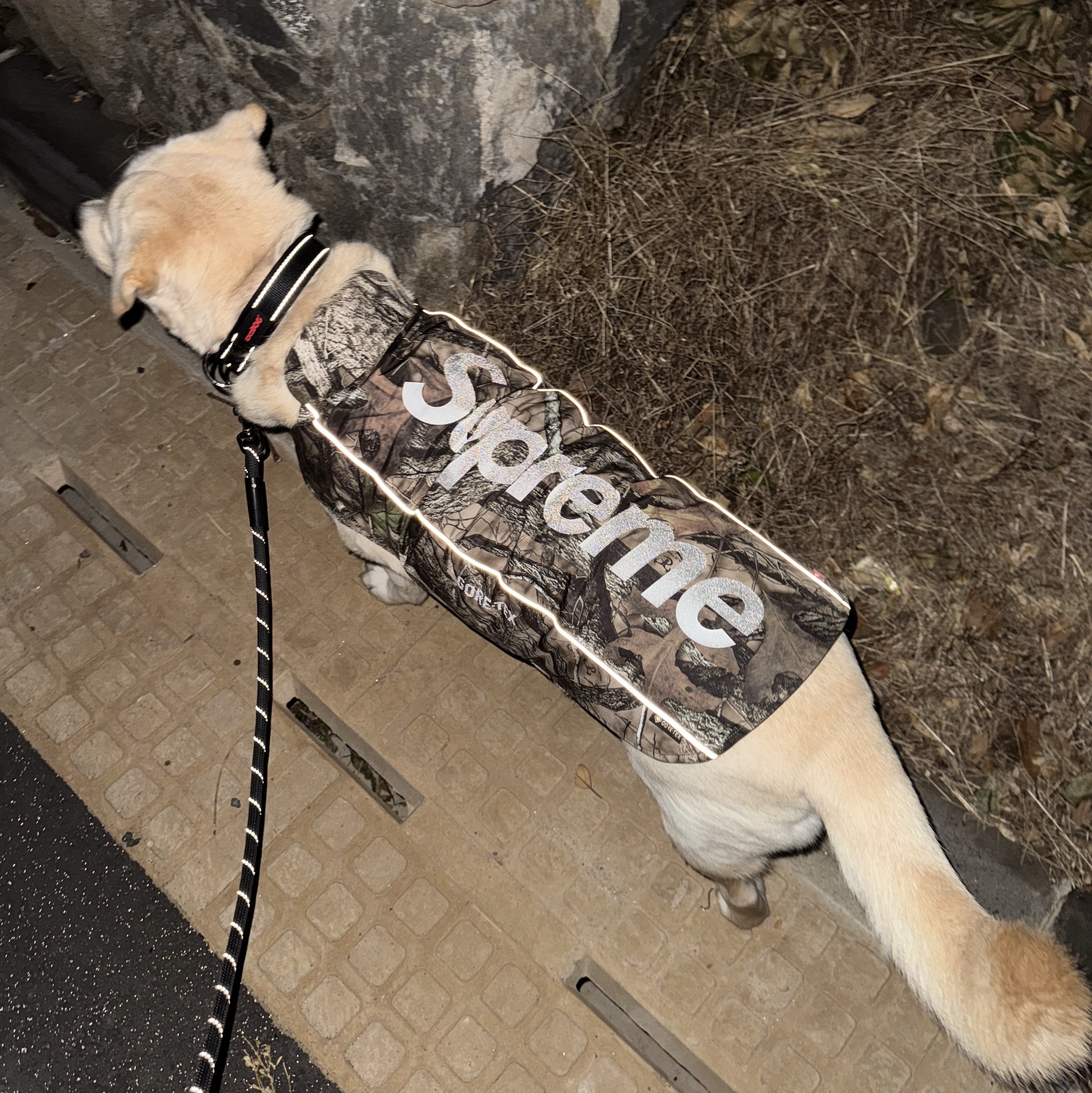 Supreme Gore-Tex Dog Jacket TrueTimber HTC Fall Camo - 24FW 착용 스타일 - 3