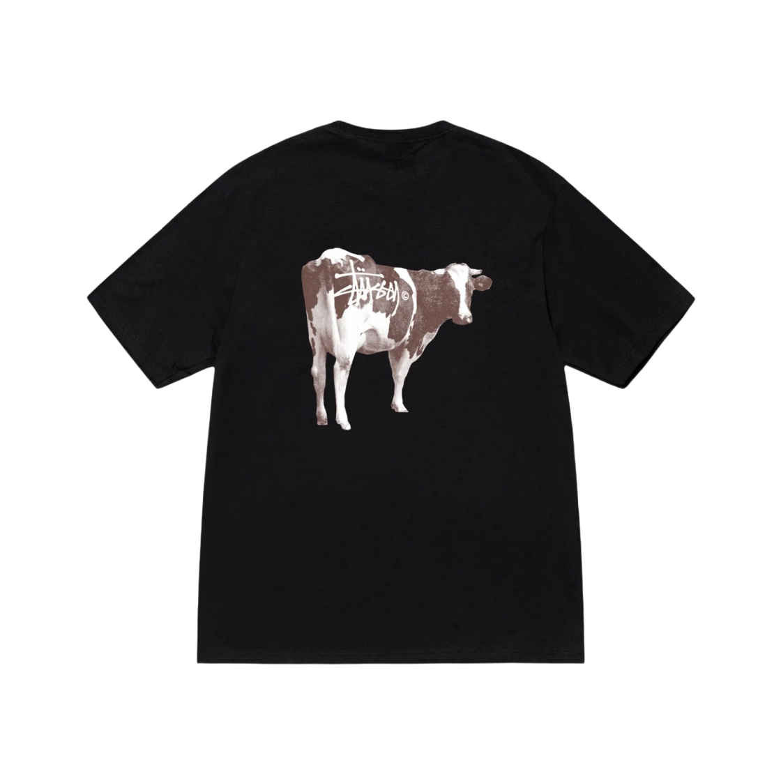 1905046 Stussy Grassfed T-Shirt Black - 대표 이미지 #1