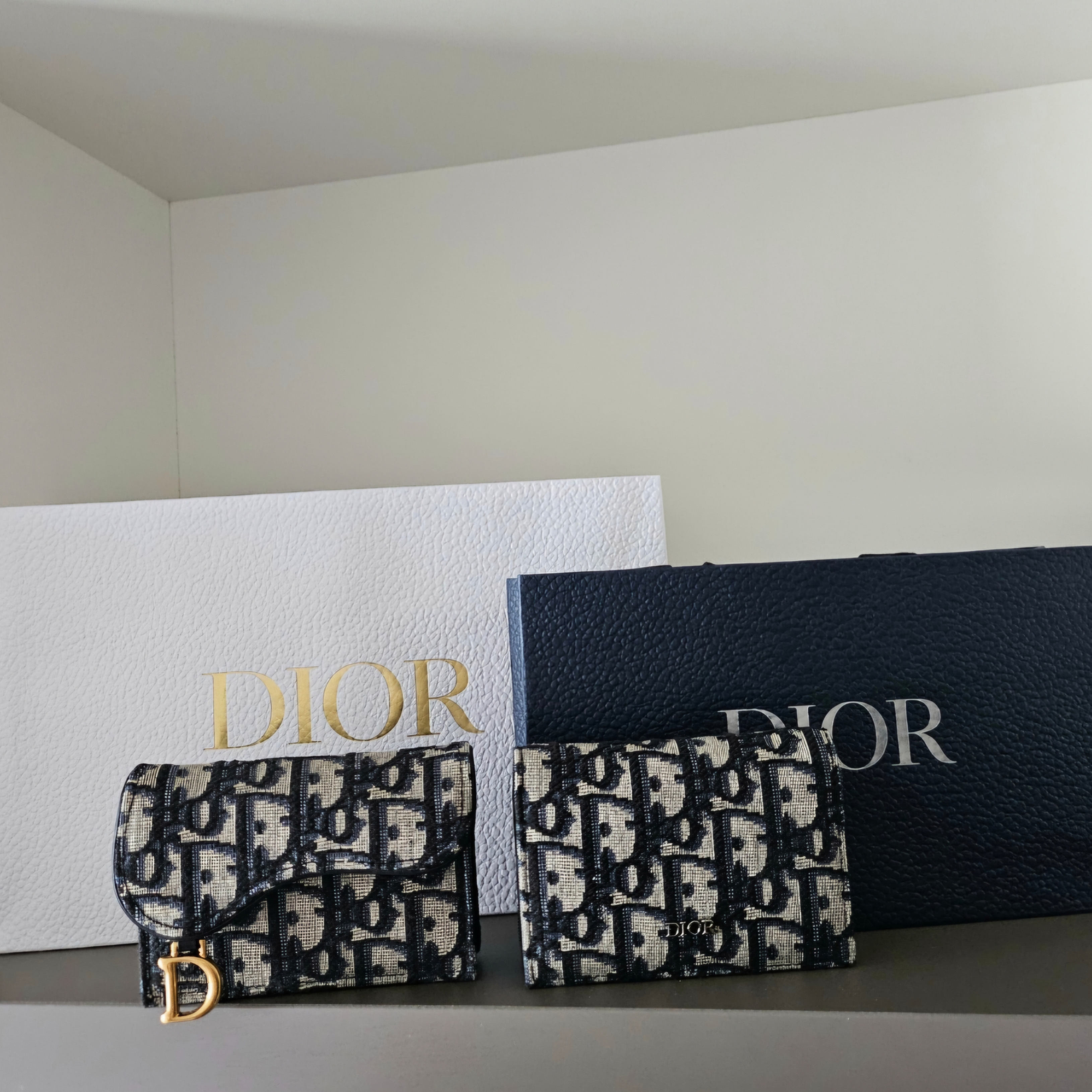 Dior Business Card Holder Beige & Black Dior Oblique Jacquard, Dior Saddle 5-Gusset Card Holder Blue Dior Oblique Jacquard 착용 스타일