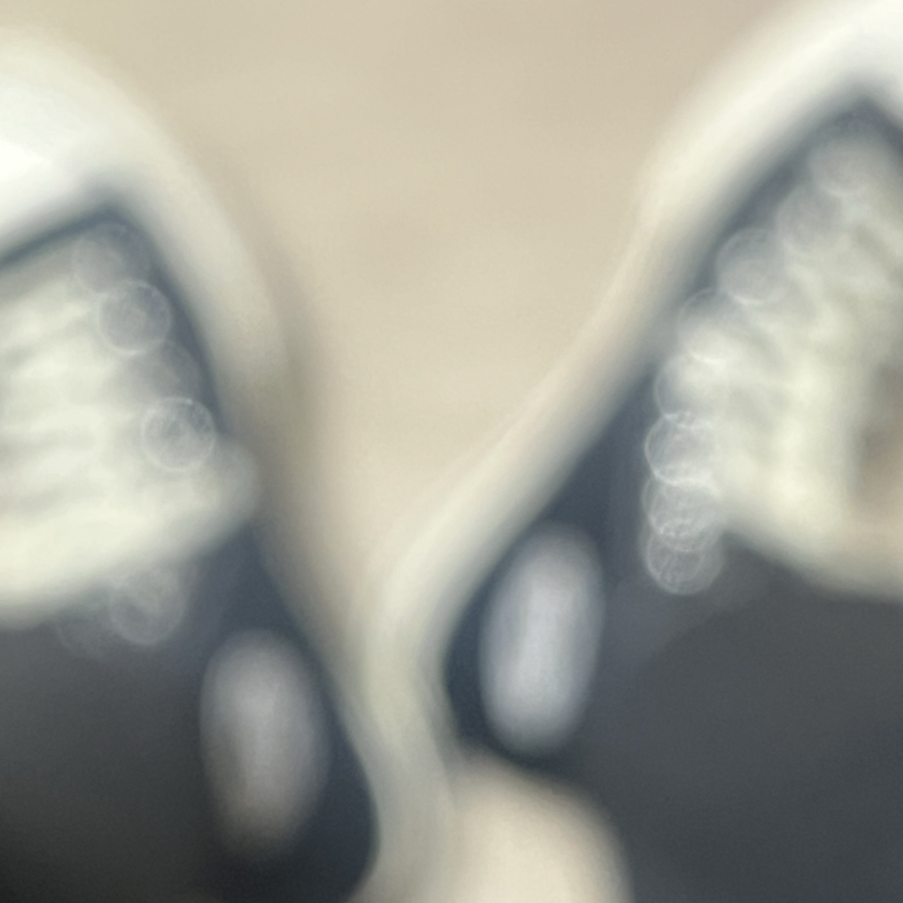 Converse Chuck 70 Hi Black 착용 스타일 - 2