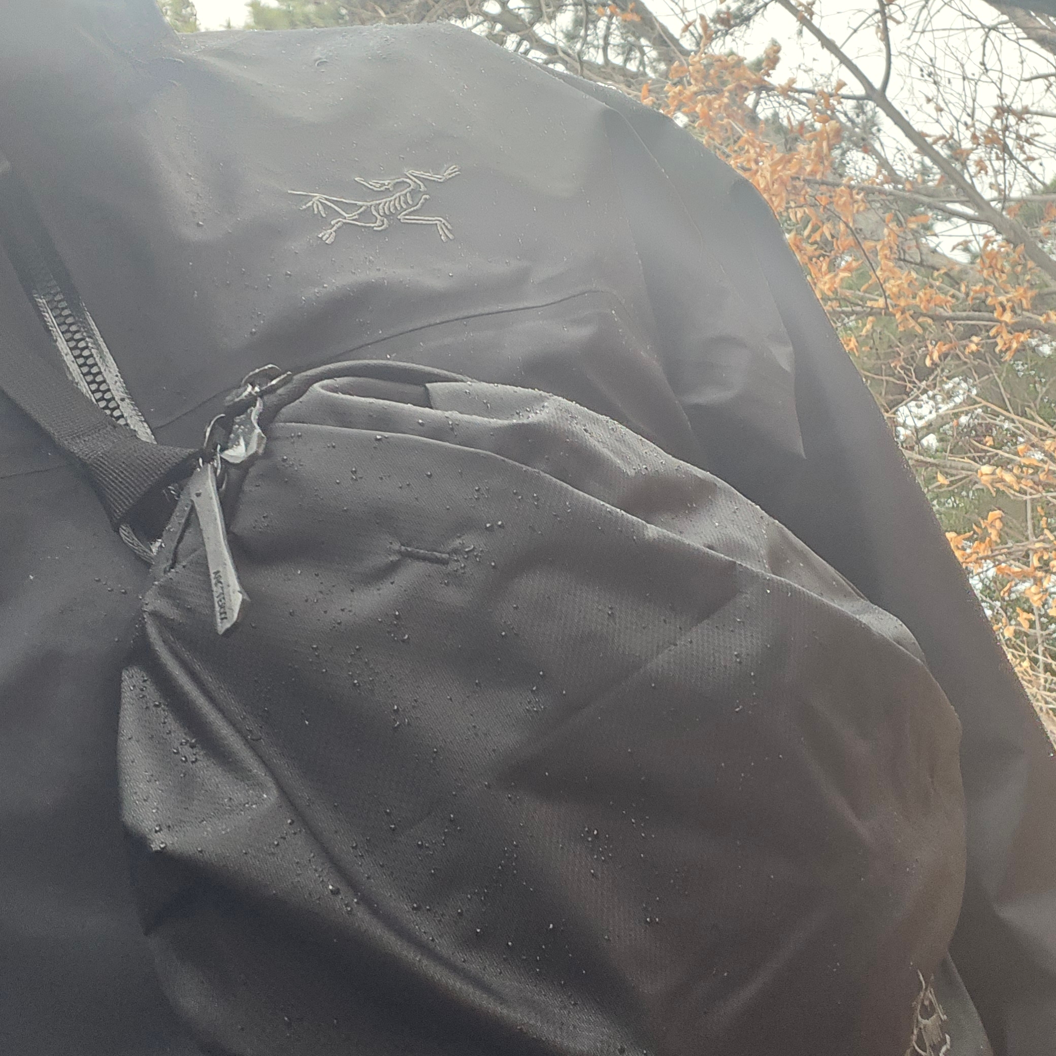 Arc'teryx Heliad 6 Crossbody Bag Black 착용 스타일