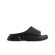 PAES Slide 01 Black